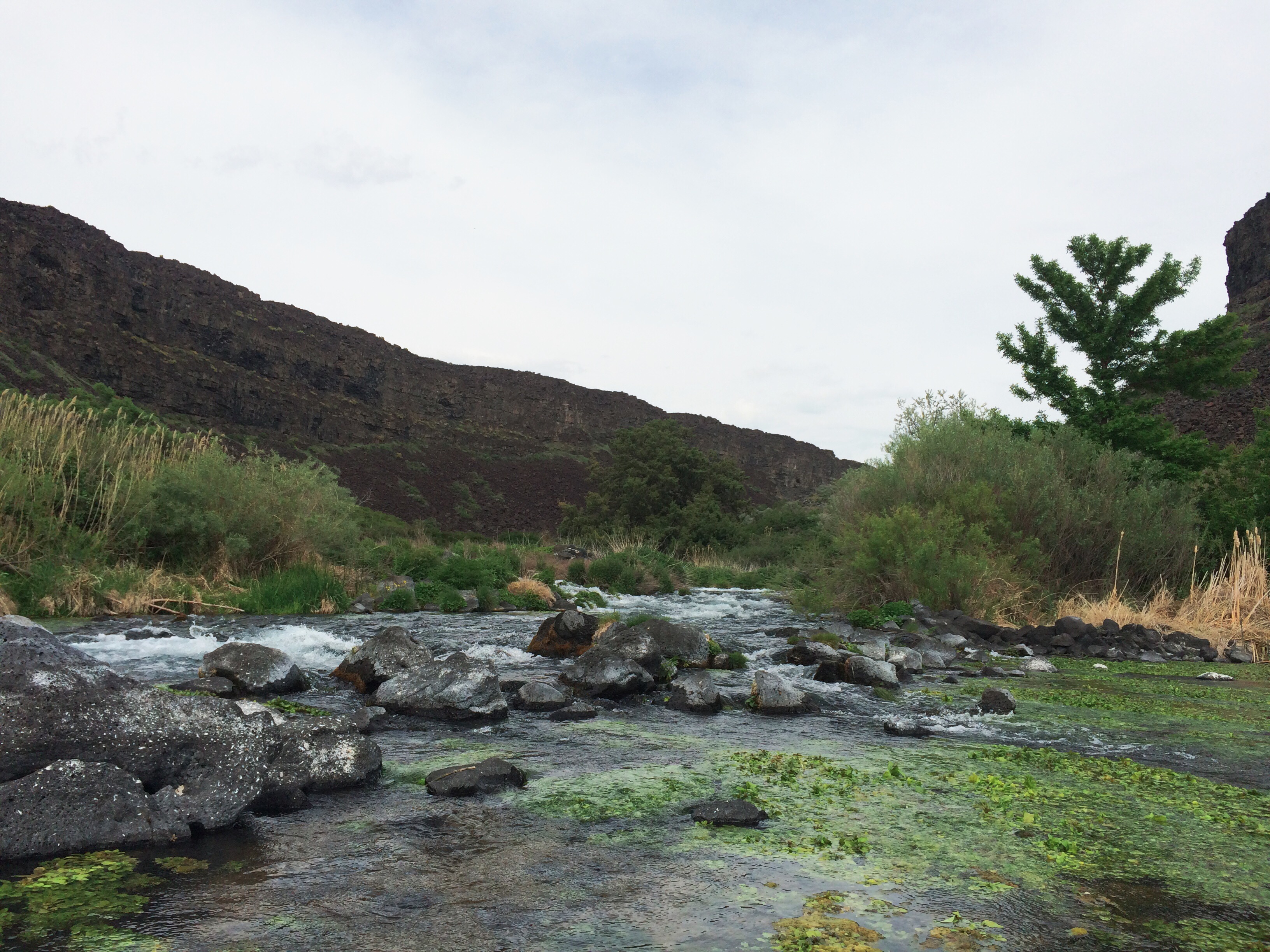 Processed with VSCOcam with wwf preset