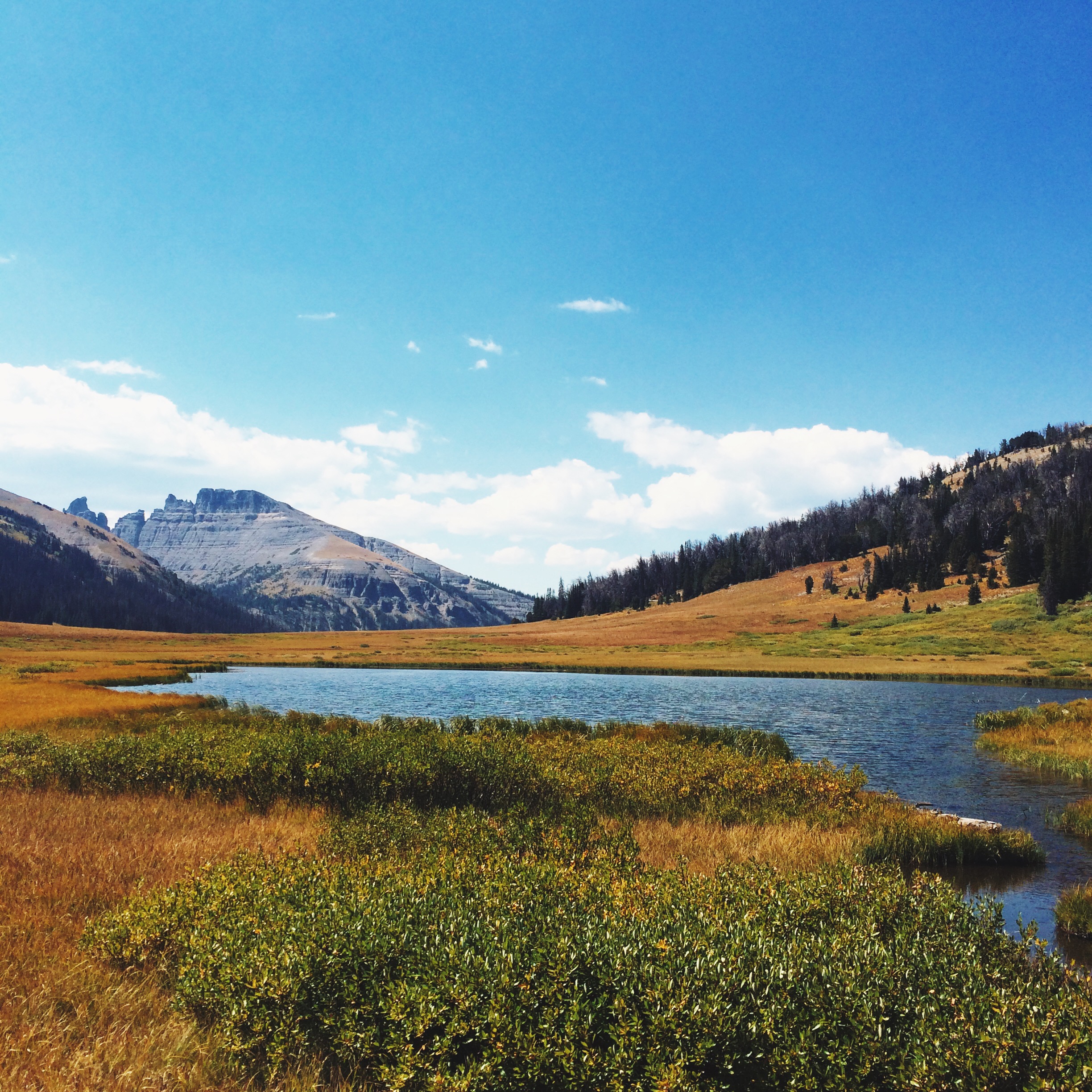 Processed with VSCOcam with lv01 preset