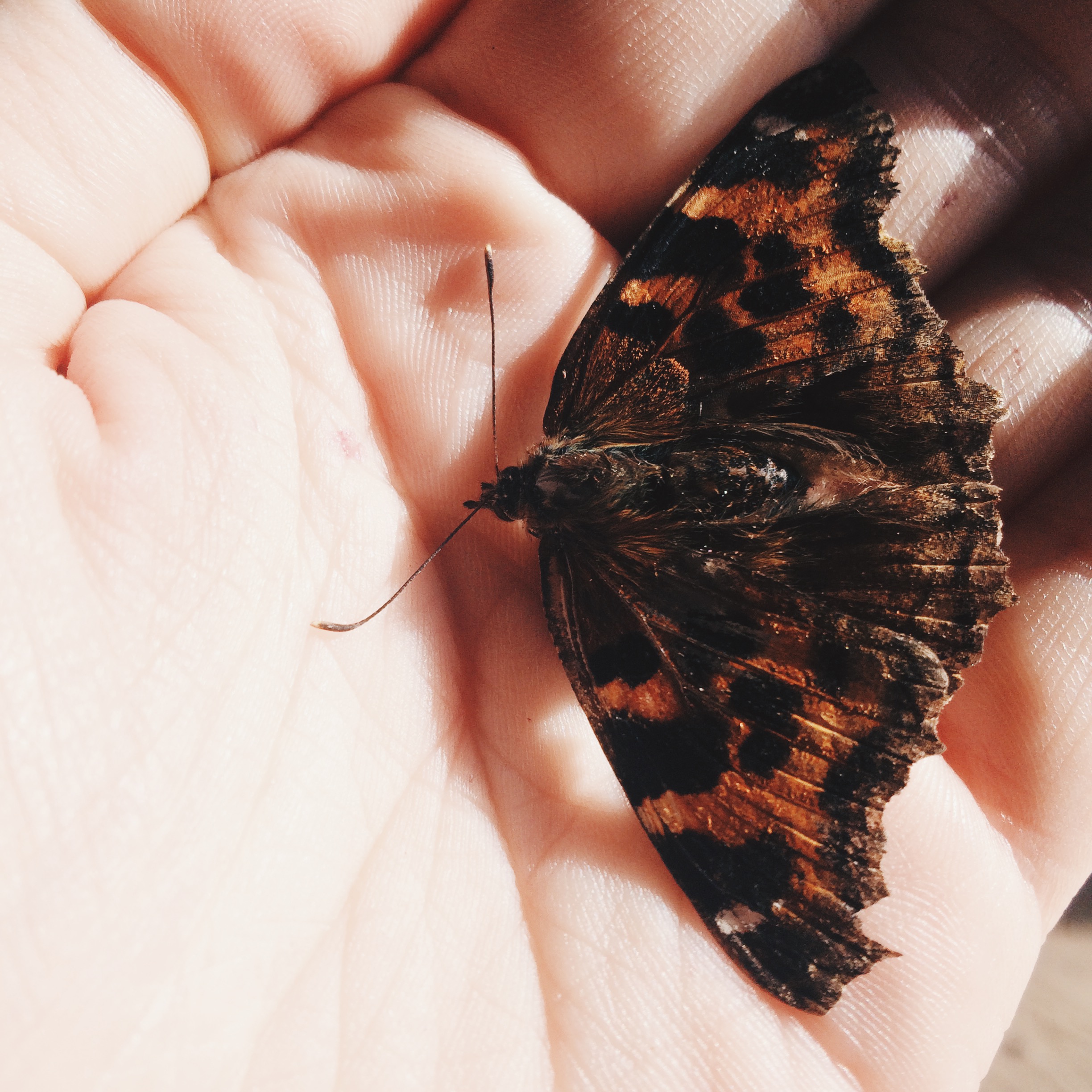 Processed with VSCOcam with hb2 preset