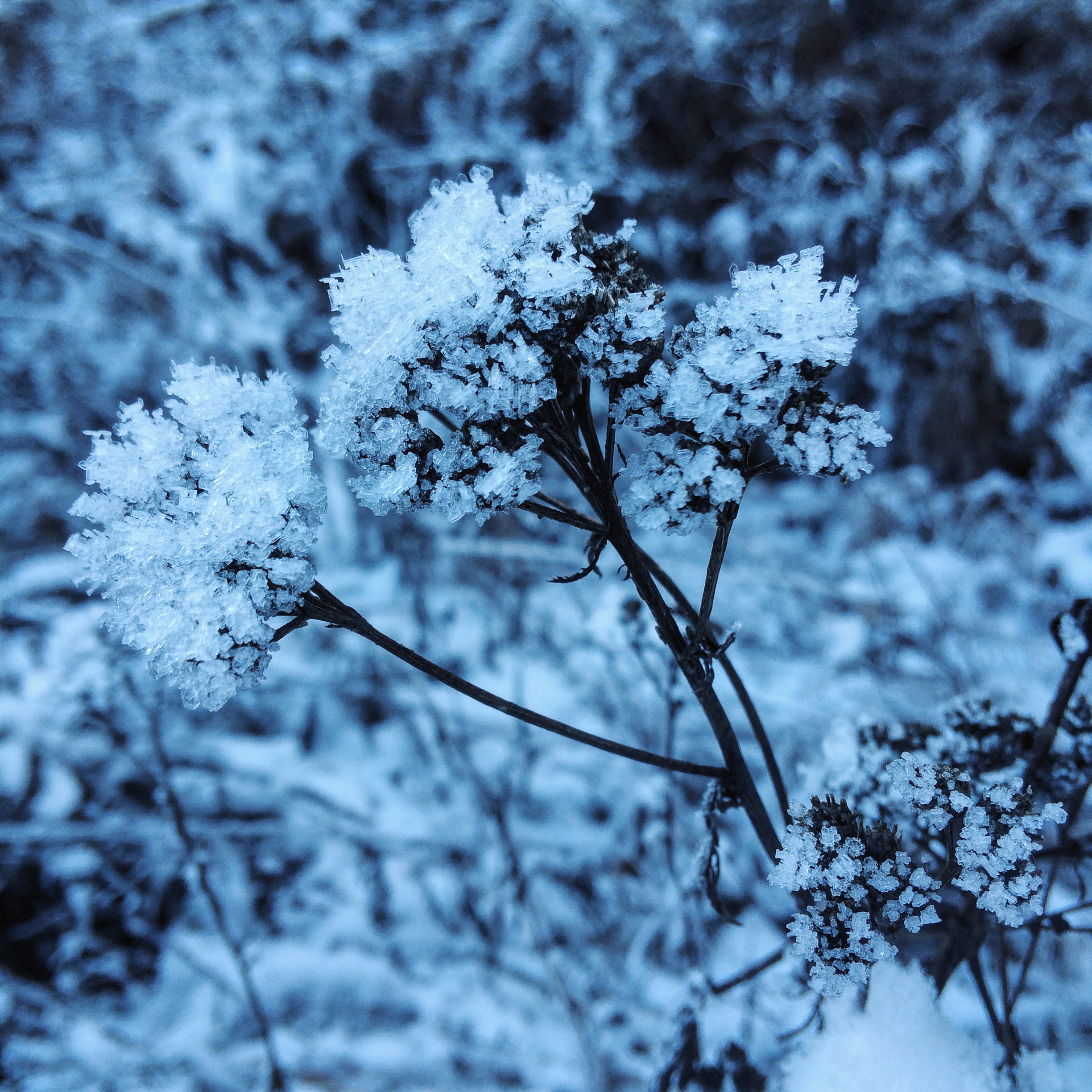 Processed with VSCOcam with hb2 preset