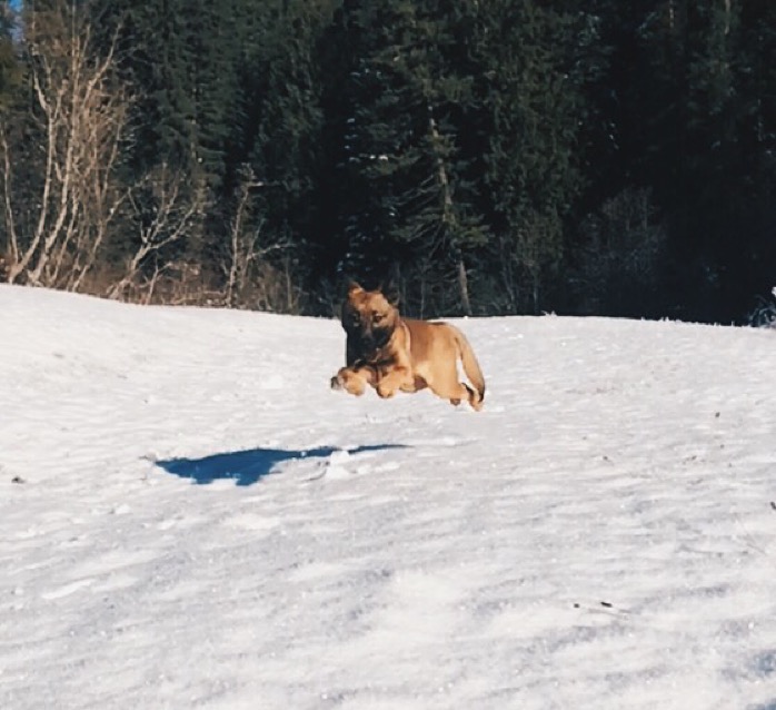 Processed with VSCOcam with hb2 preset