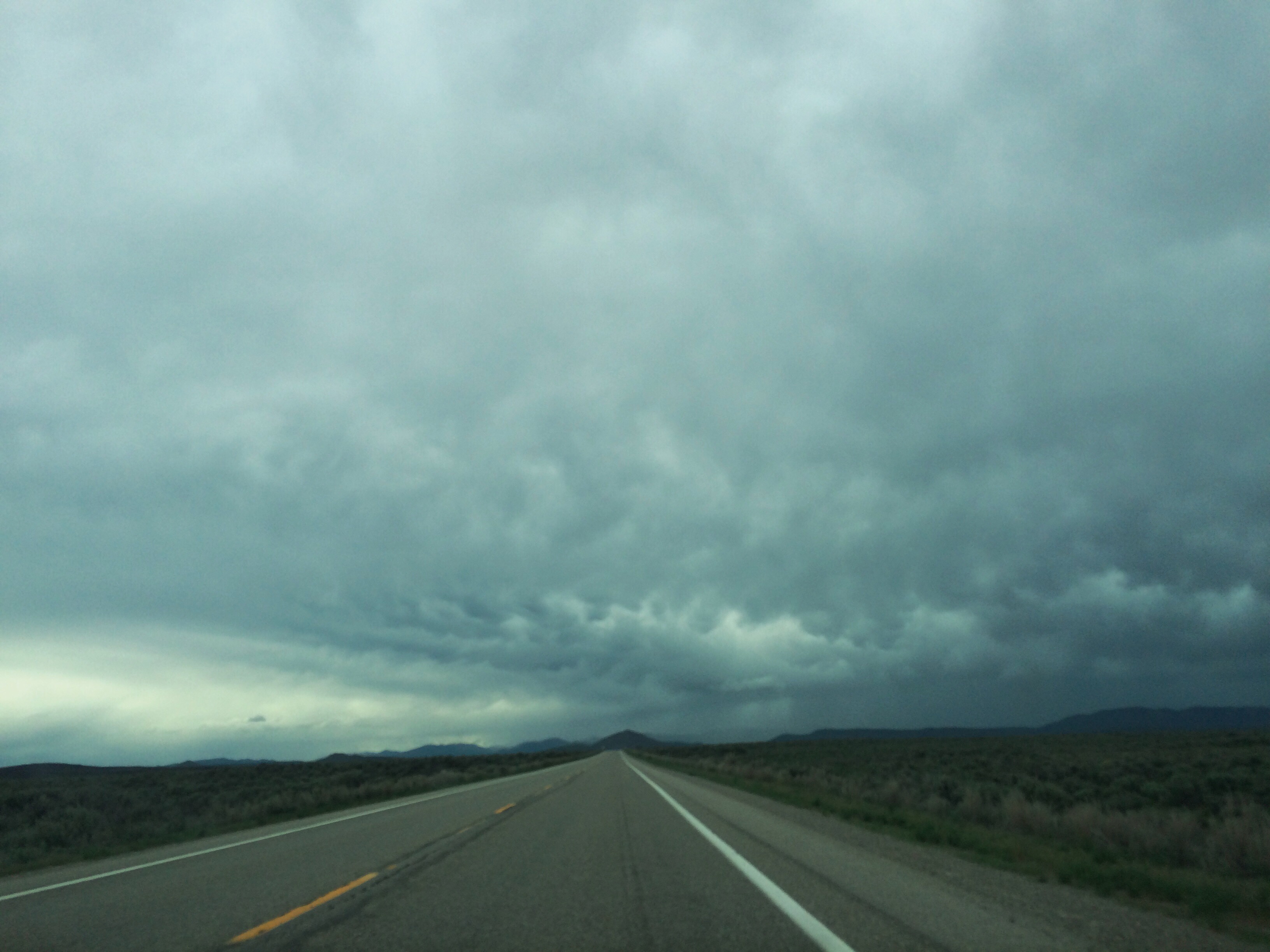 Processed with VSCOcam with wwf preset