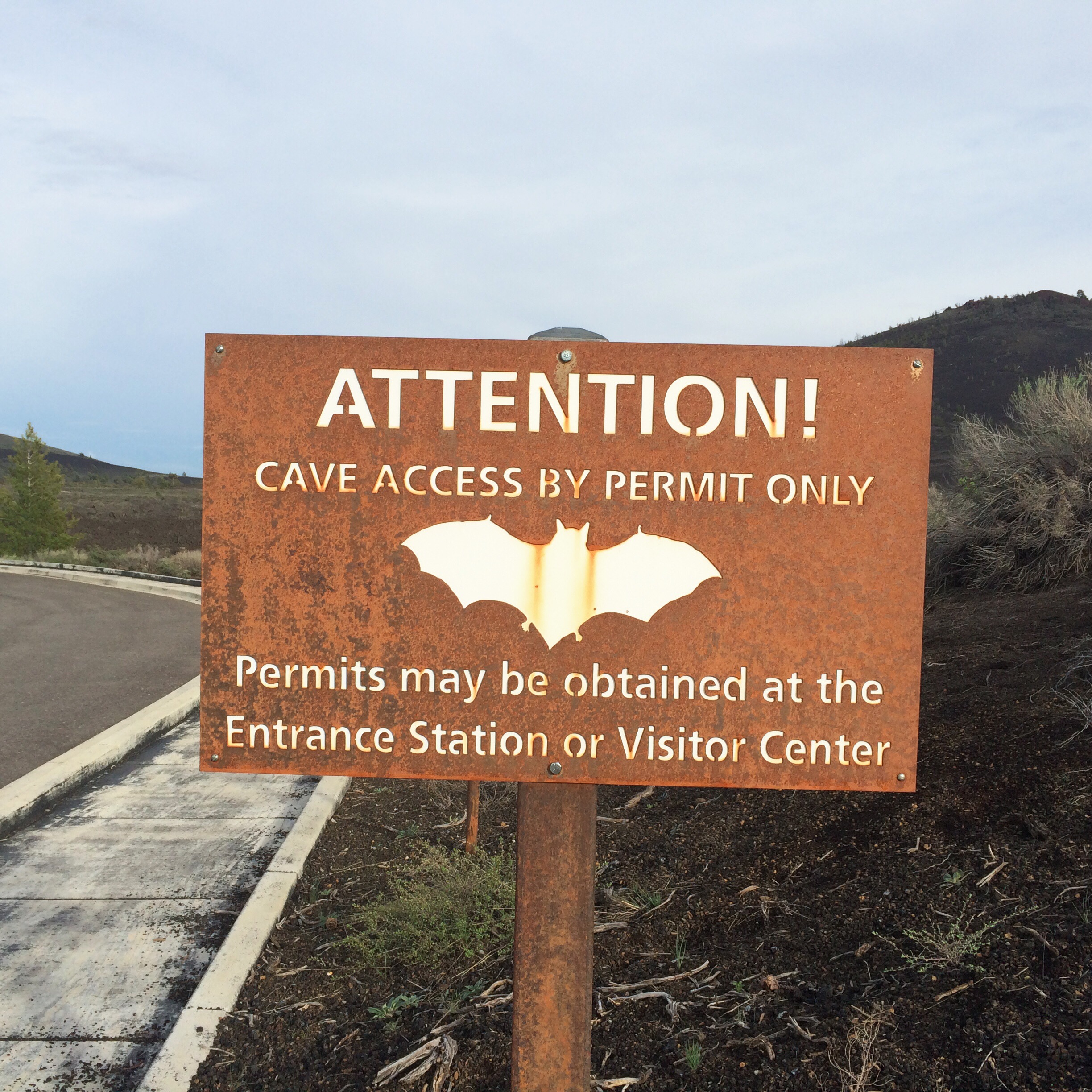 Processed with VSCOcam with wwf preset