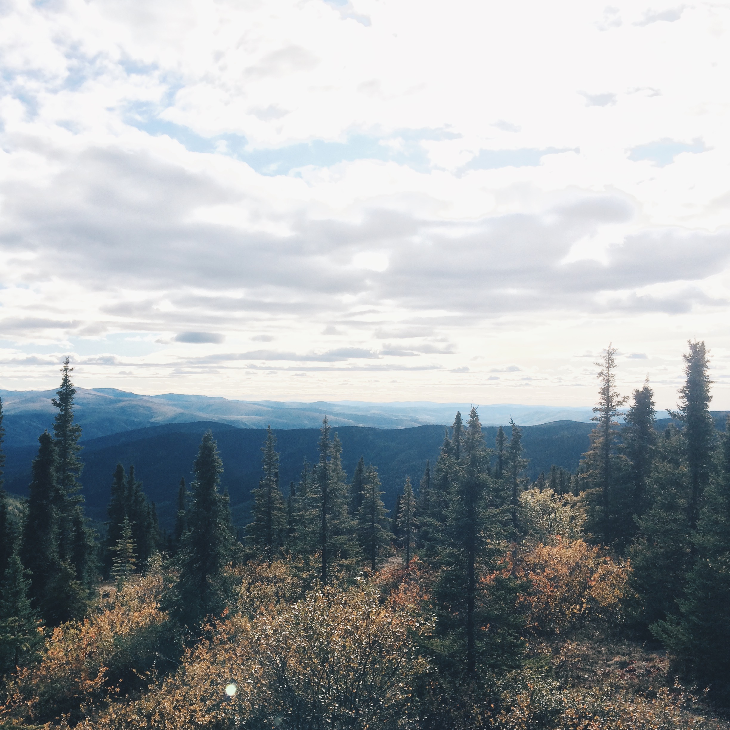 Processed with VSCOcam with hb2 preset