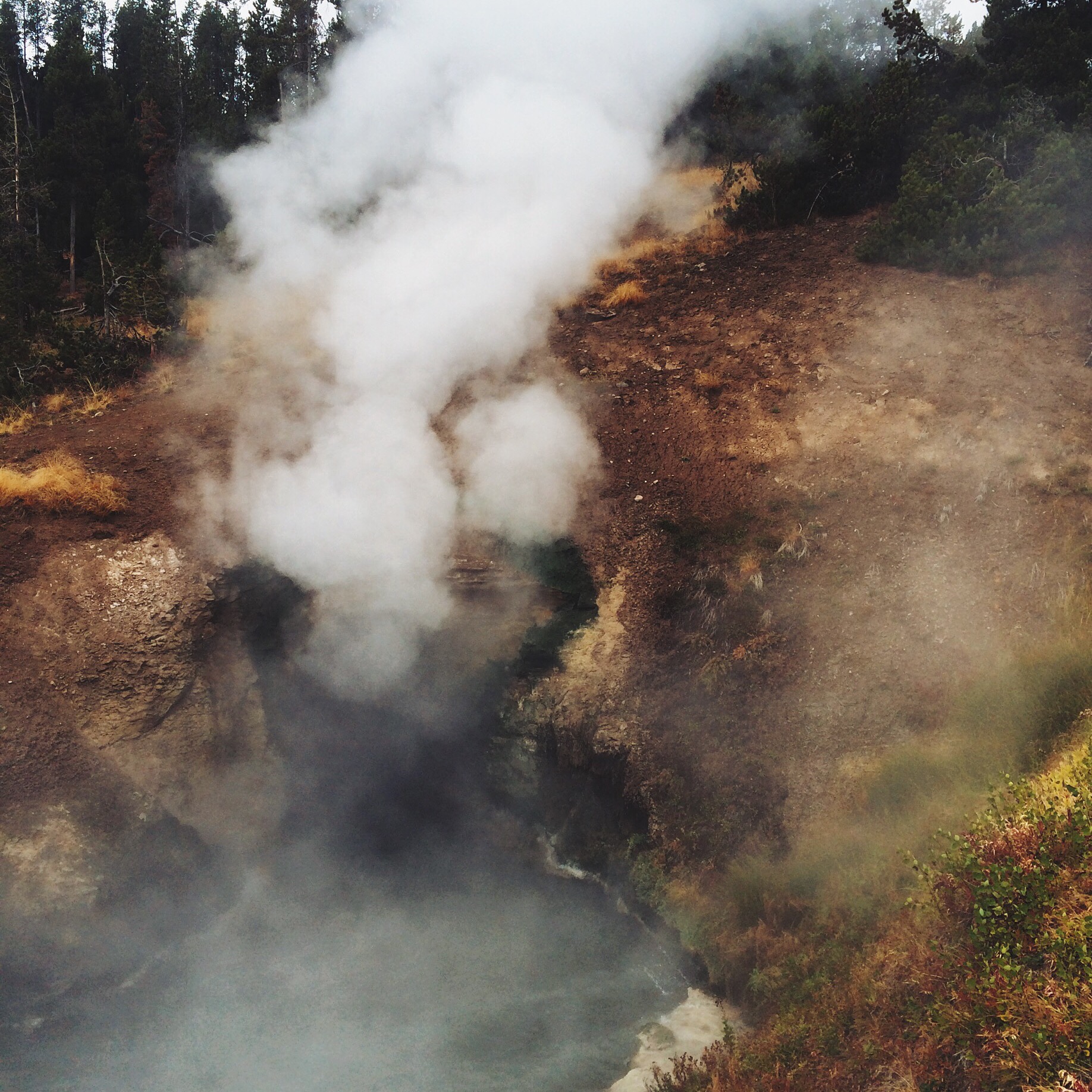 Processed with VSCOcam with lv01 preset