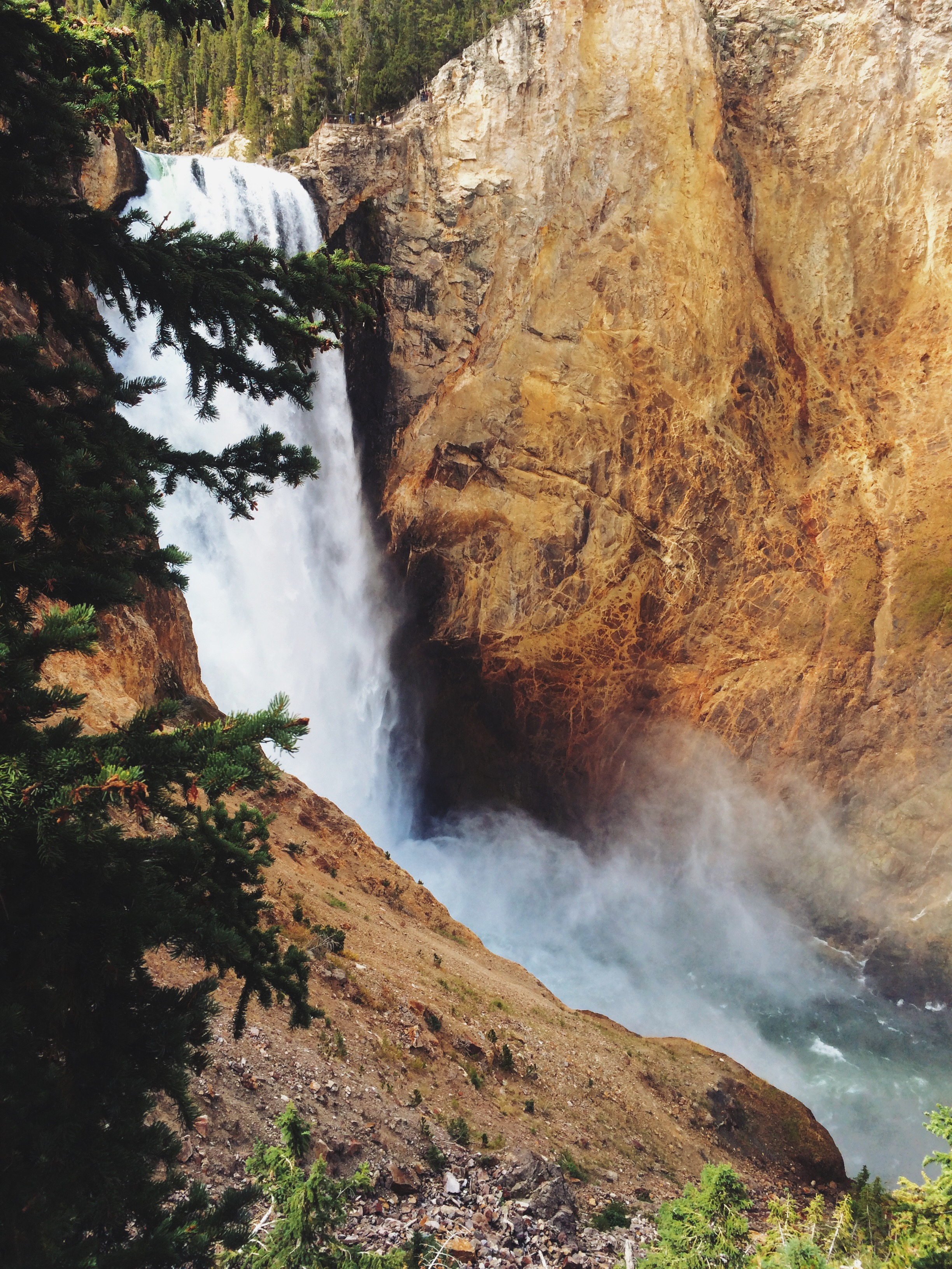 Processed with VSCOcam with lv01 preset