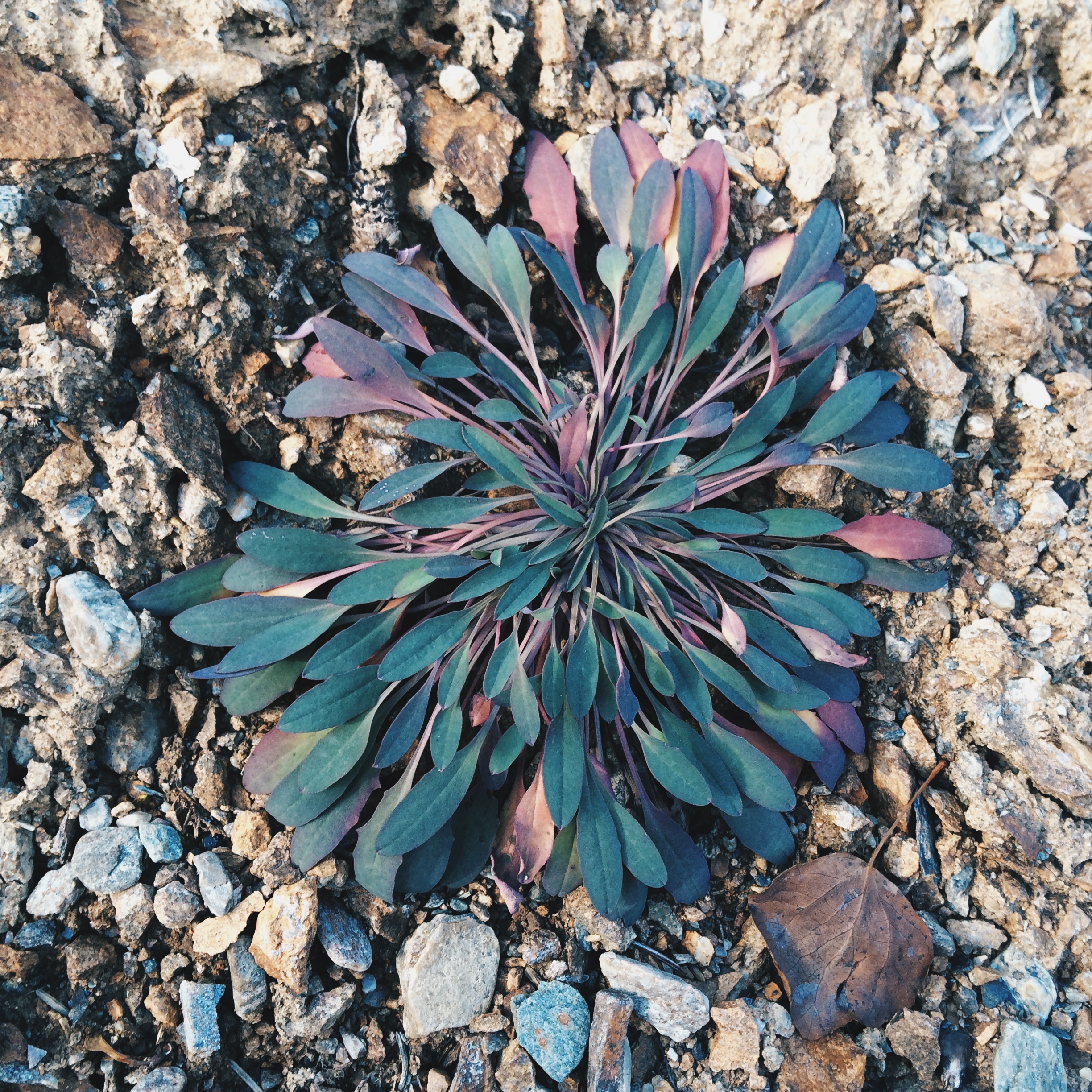 Processed with VSCOcam with hb2 preset