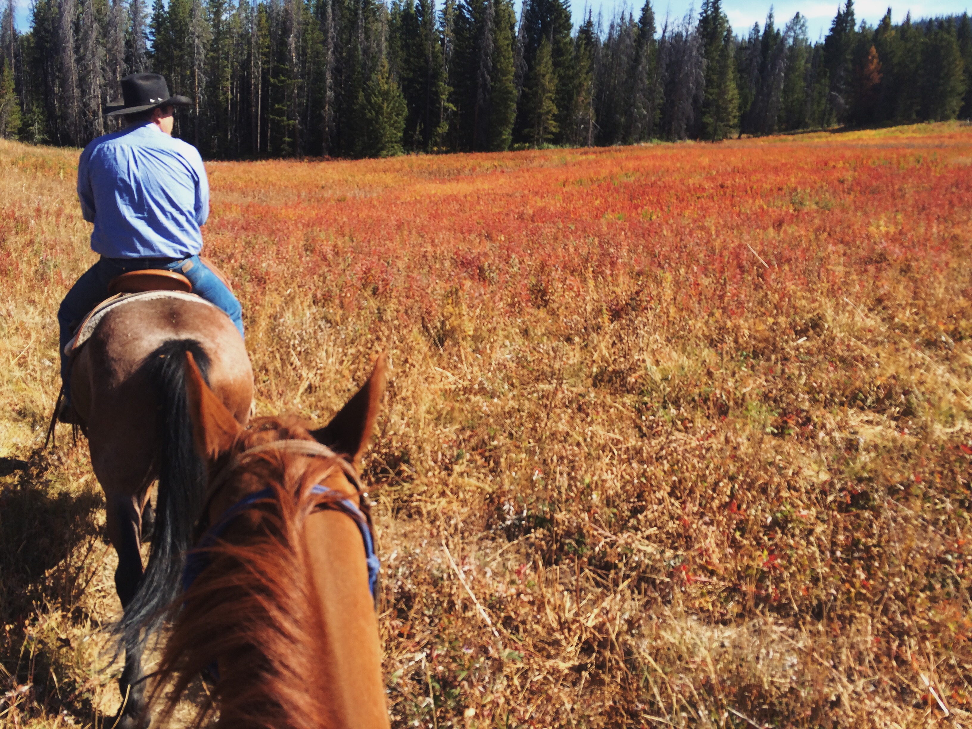 Processed with VSCOcam with lv01 preset