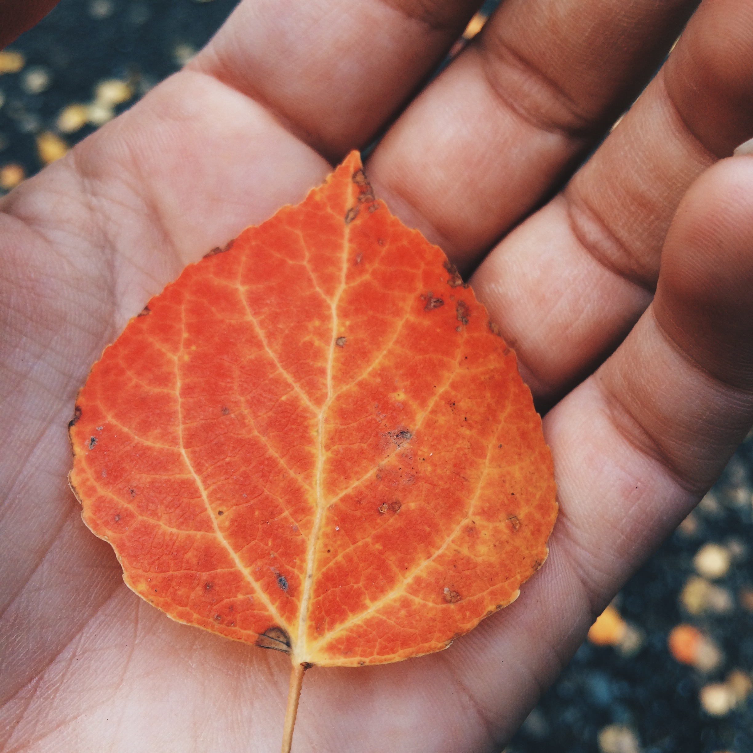 Processed with VSCOcam with hb2 preset