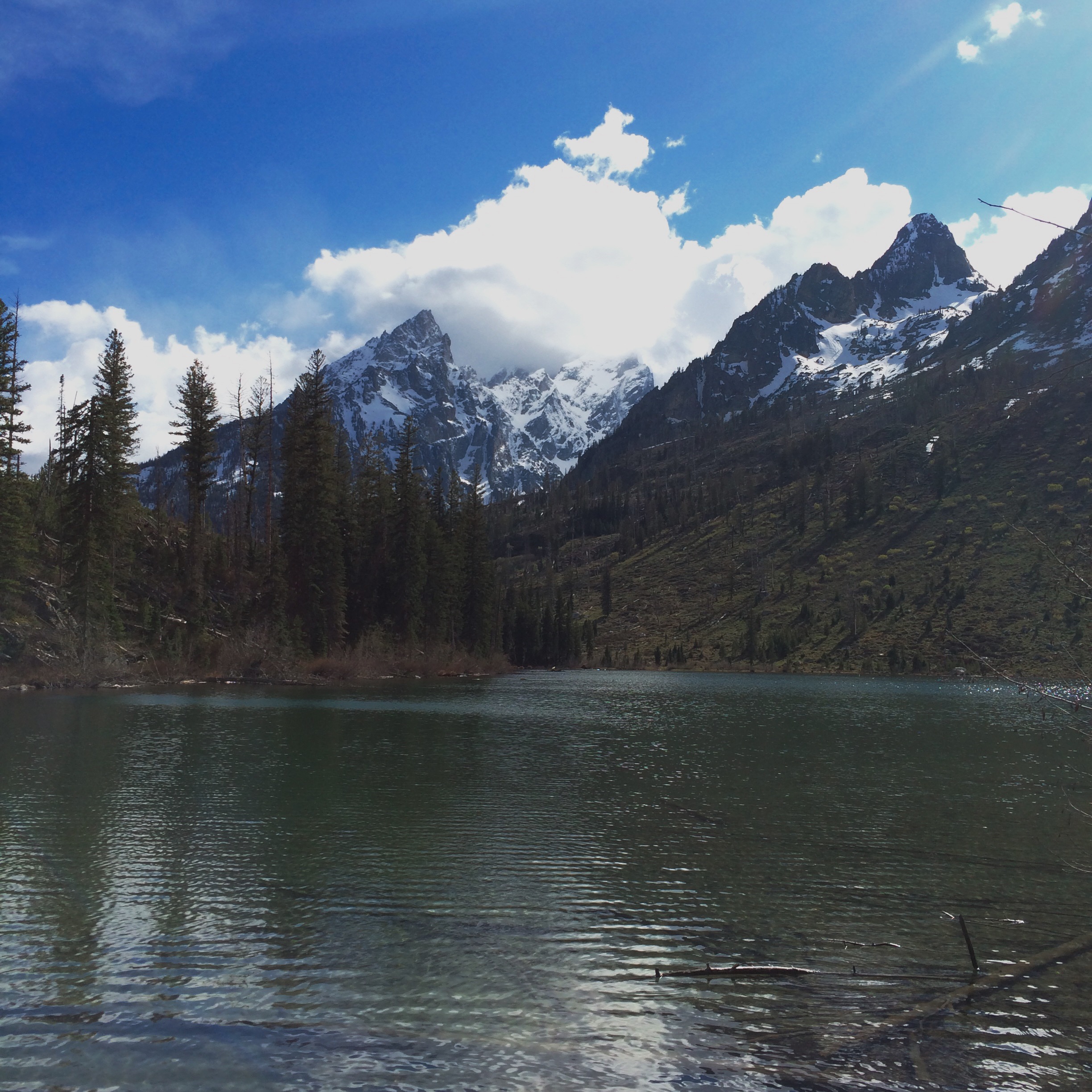 Processed with VSCOcam with wwf preset