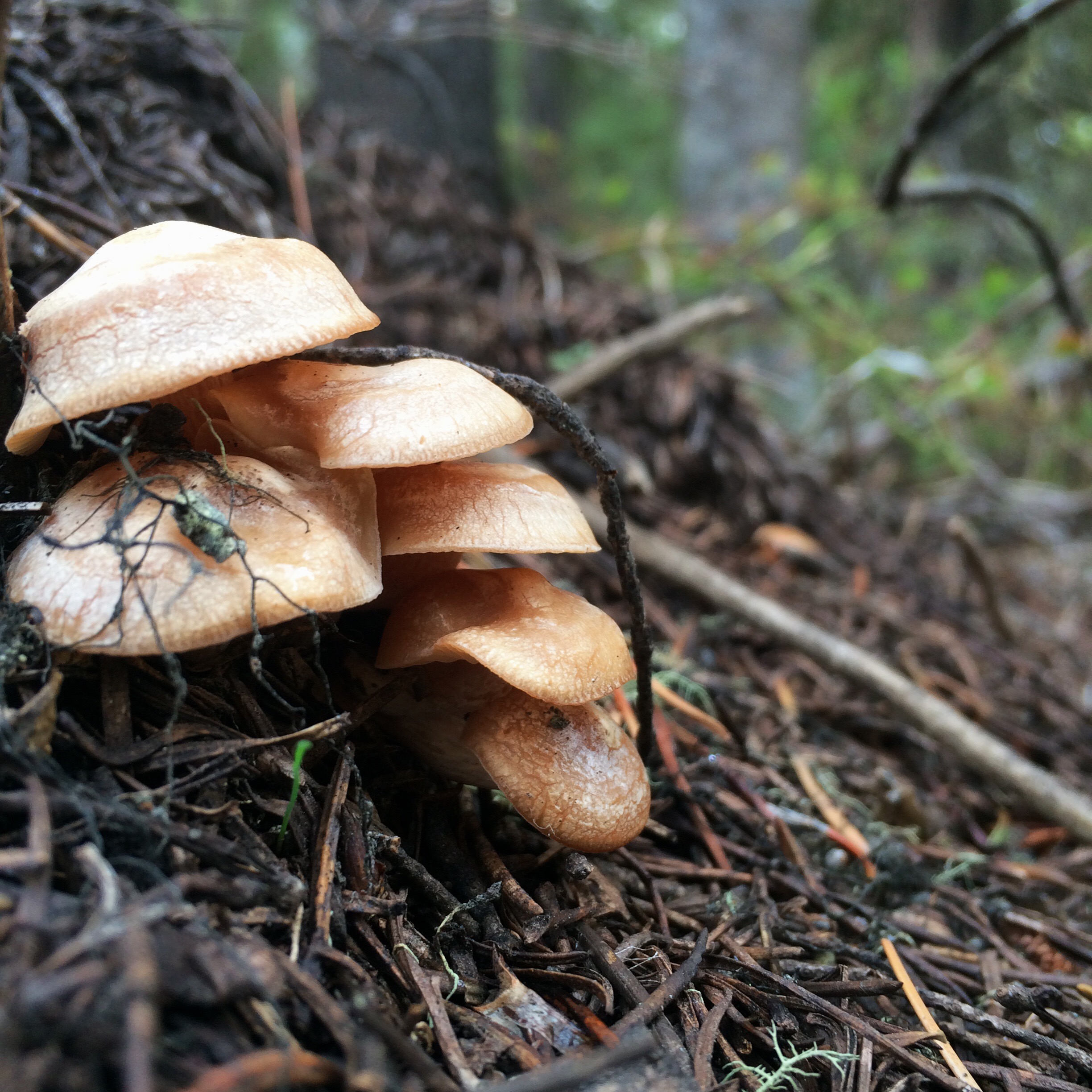 Processed with VSCOcam with wwf preset