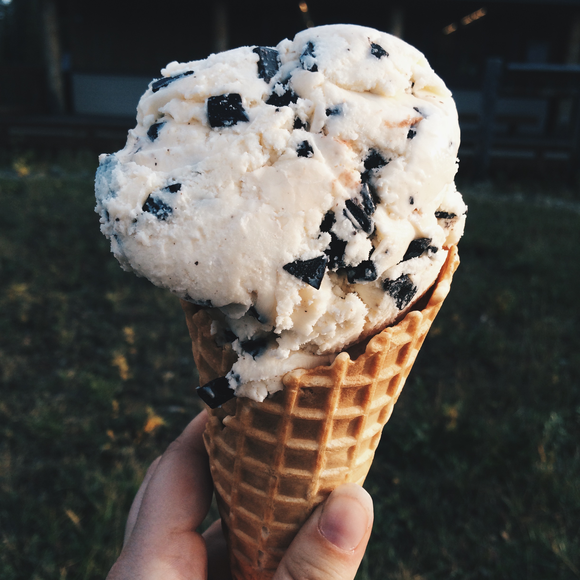 Processed with VSCOcam with hb2 preset