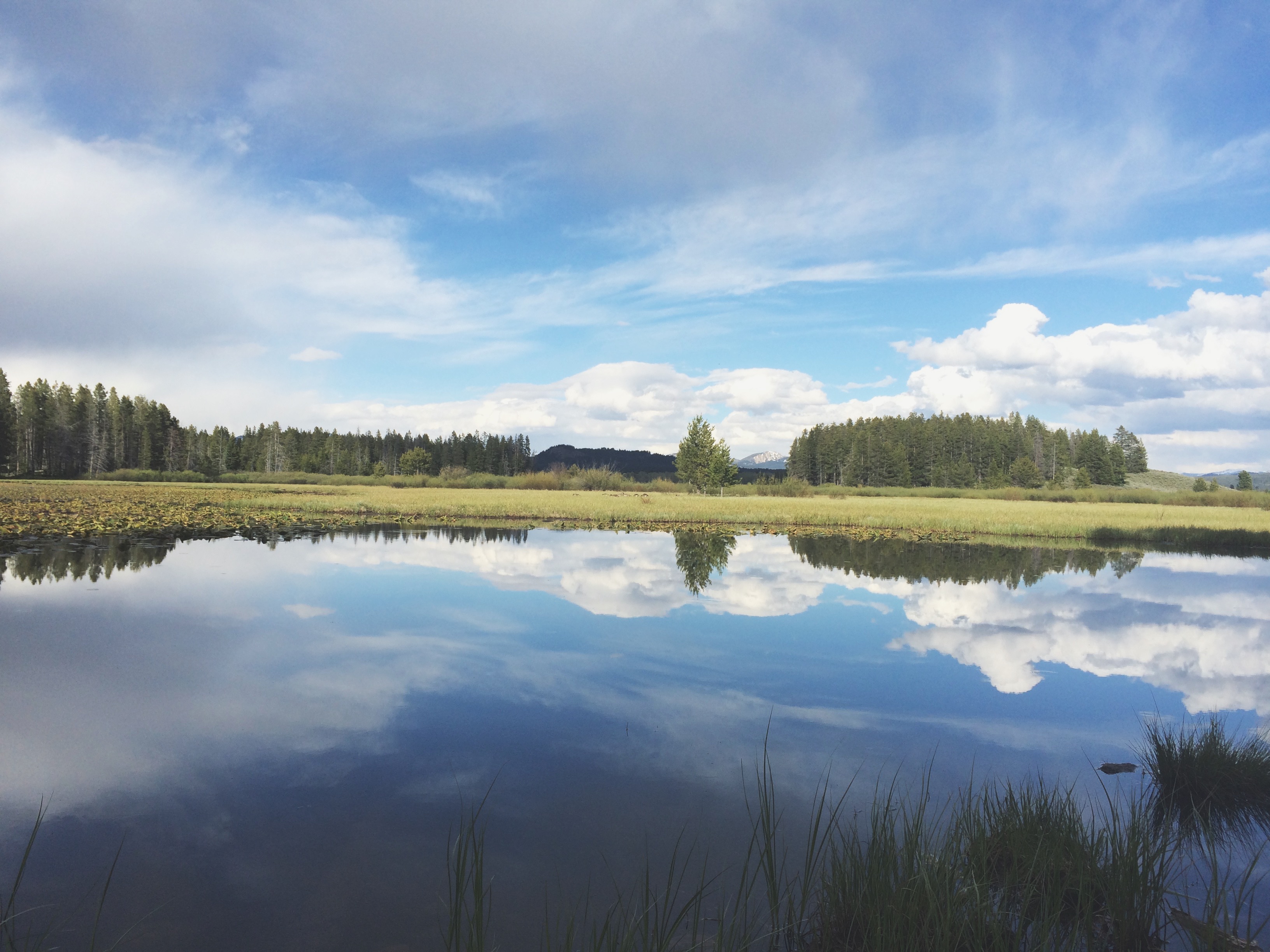 Processed with VSCOcam with t1 preset