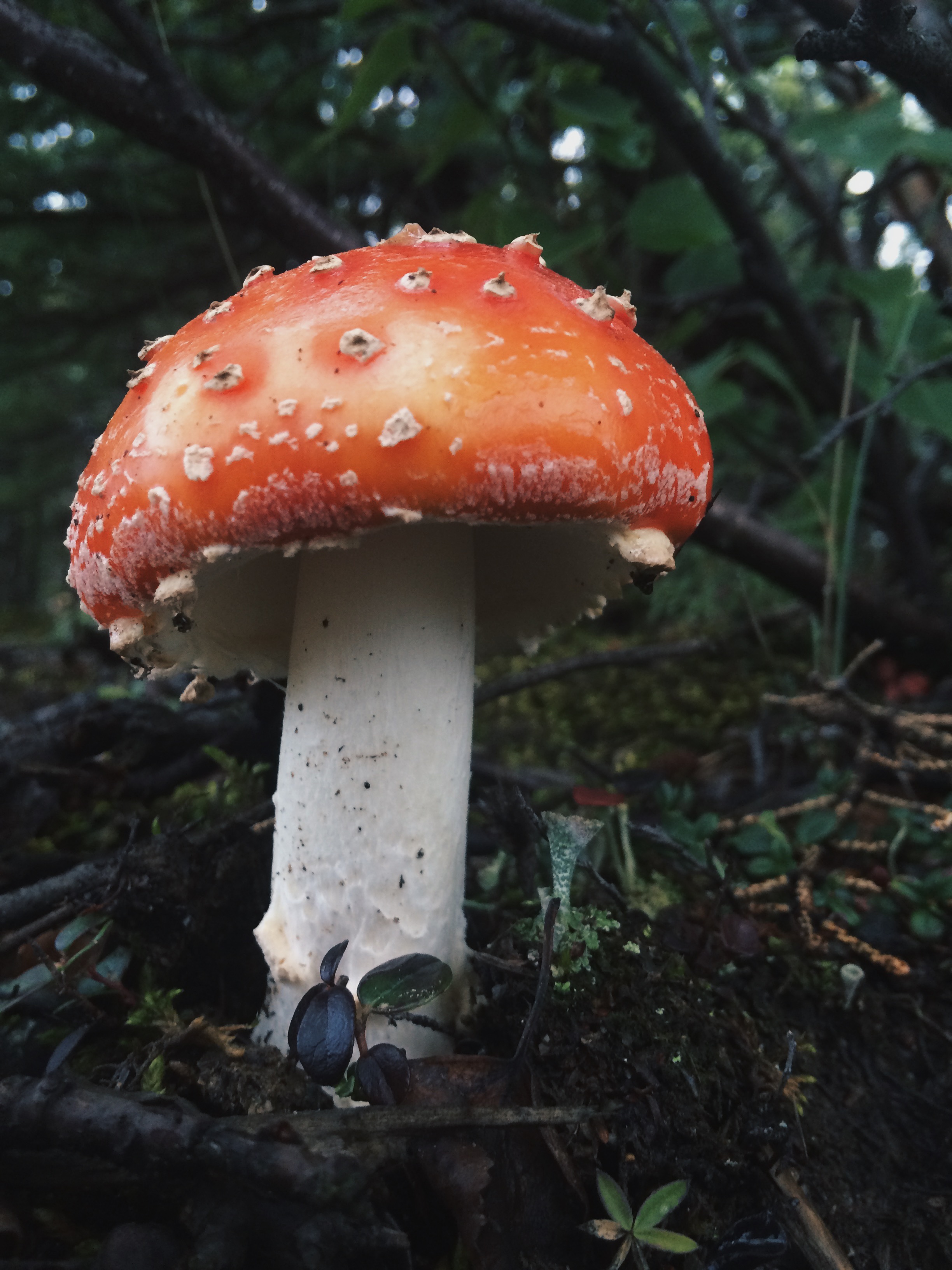 Processed with VSCOcam with hb2 preset