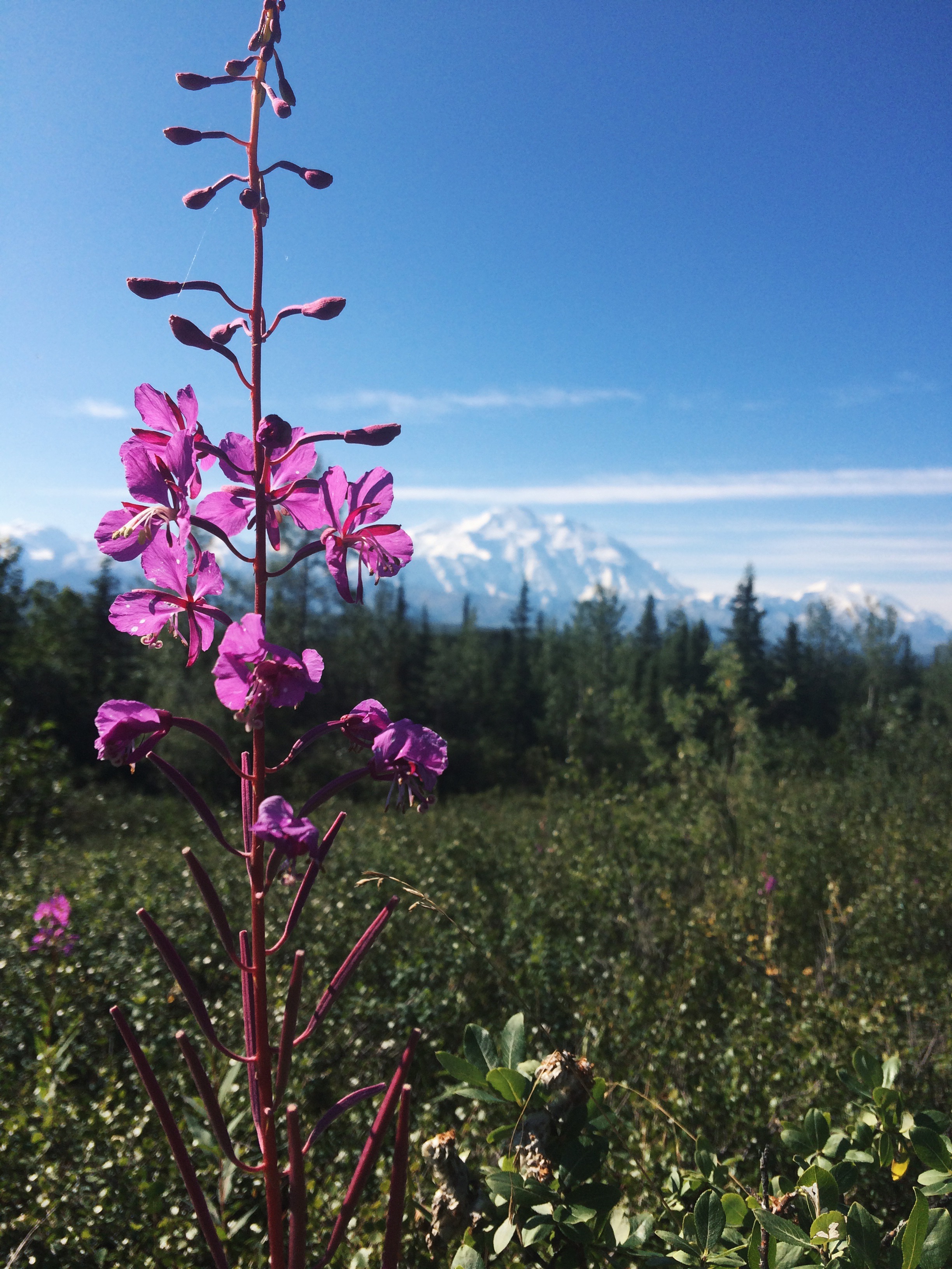 Processed with VSCOcam with hb2 preset