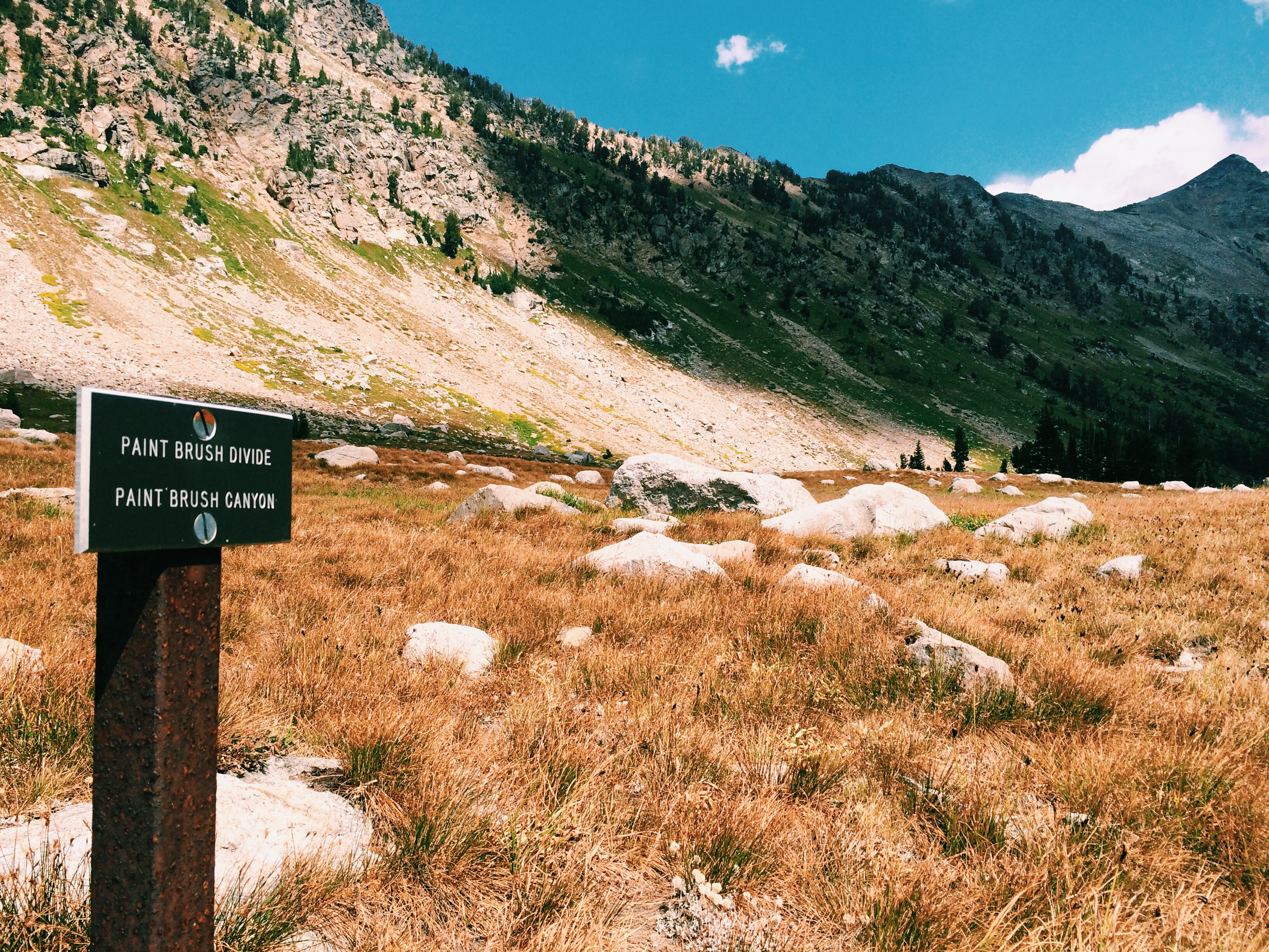 Processed with VSCOcam with c1 preset