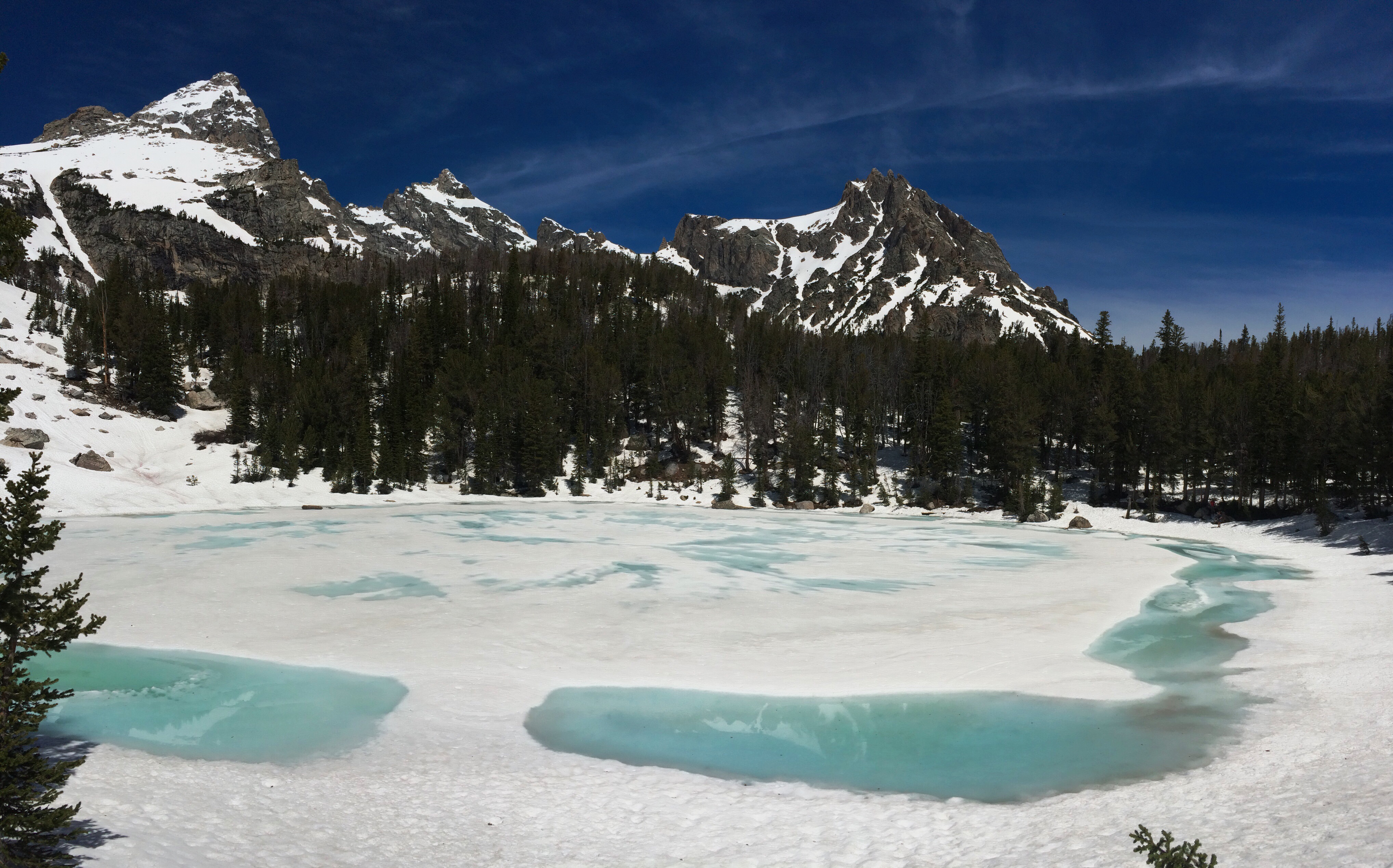 Processed with VSCOcam with wwf preset