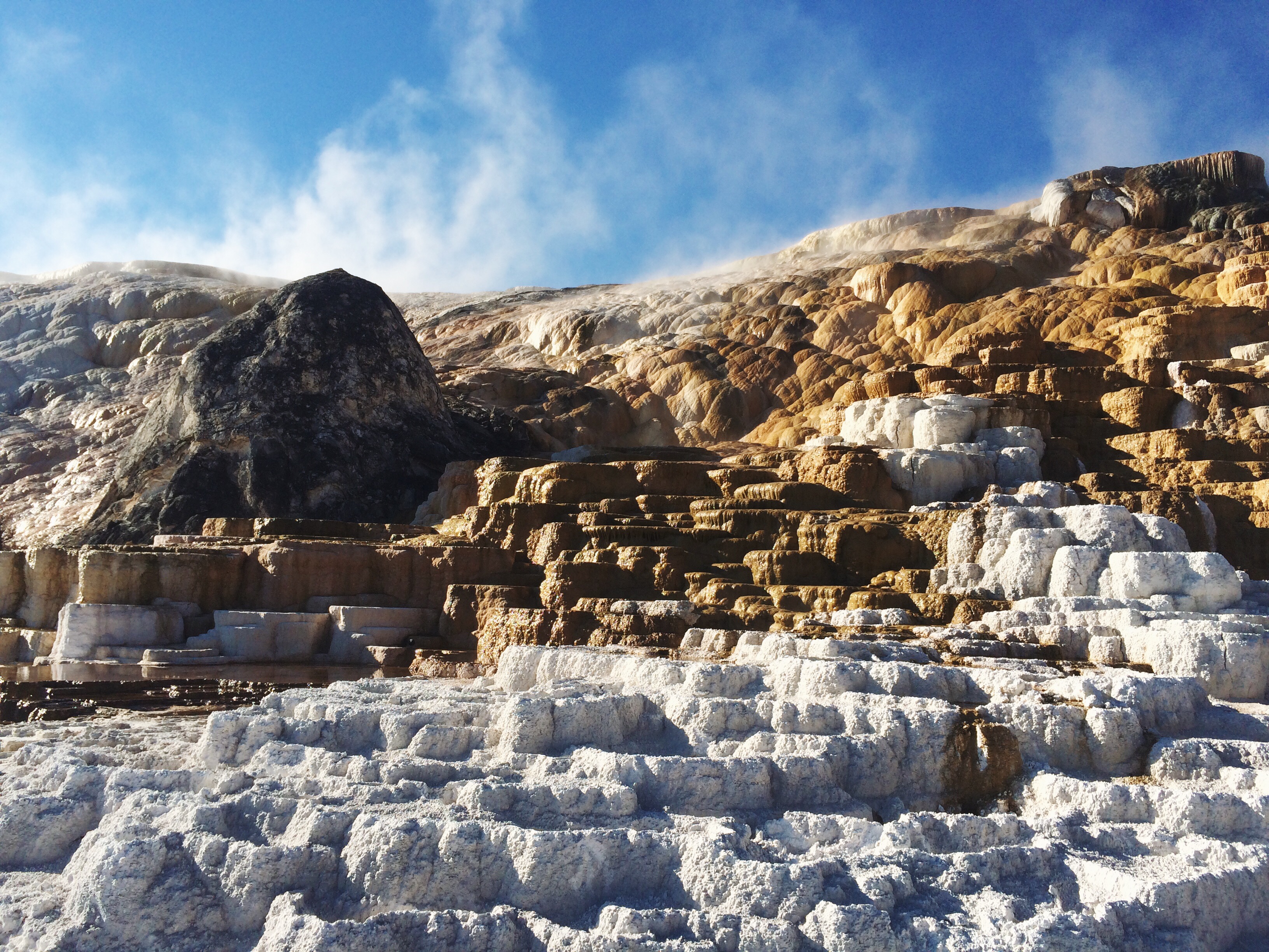 Processed with VSCOcam with lv01 preset