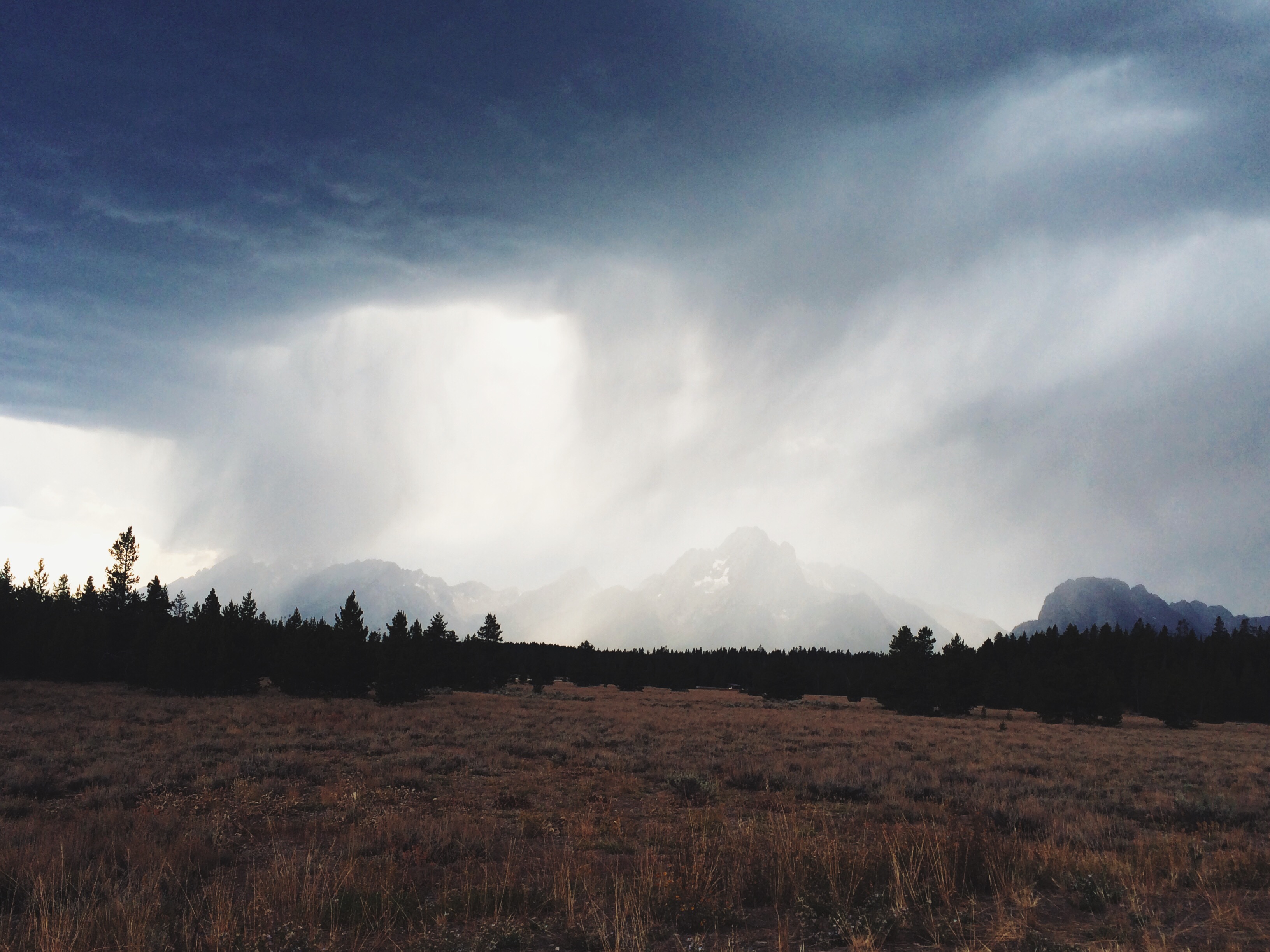 Processed with VSCOcam with lv01 preset