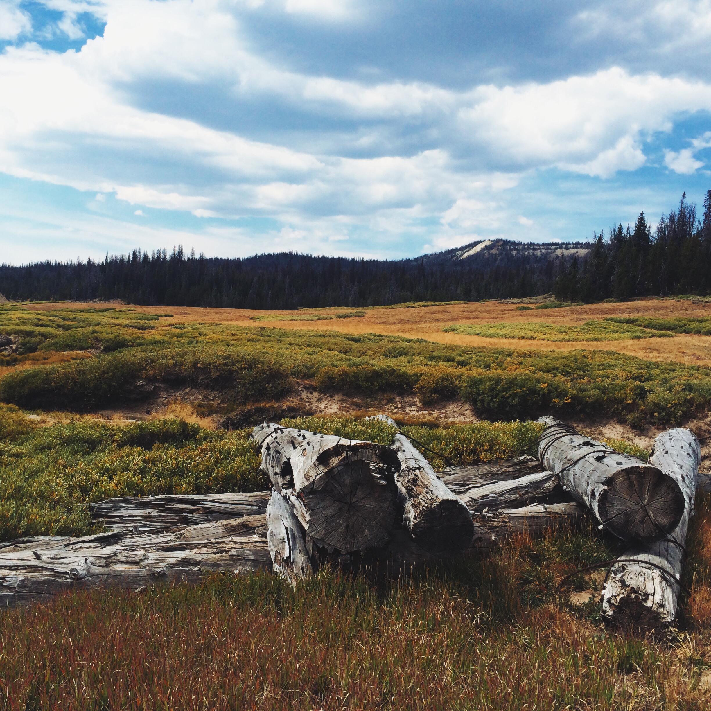 Processed with VSCOcam with lv01 preset