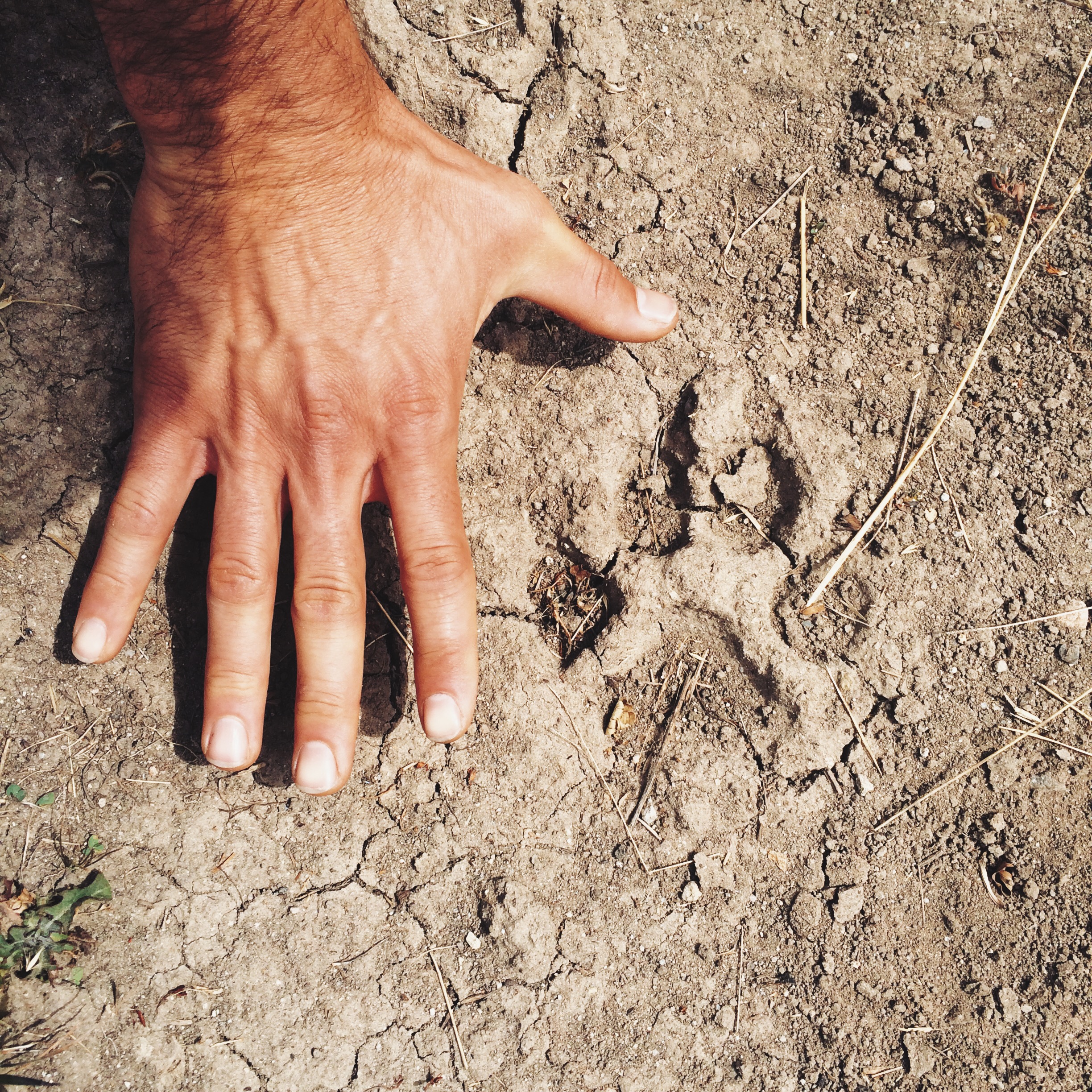 Processed with VSCOcam with lv01 preset