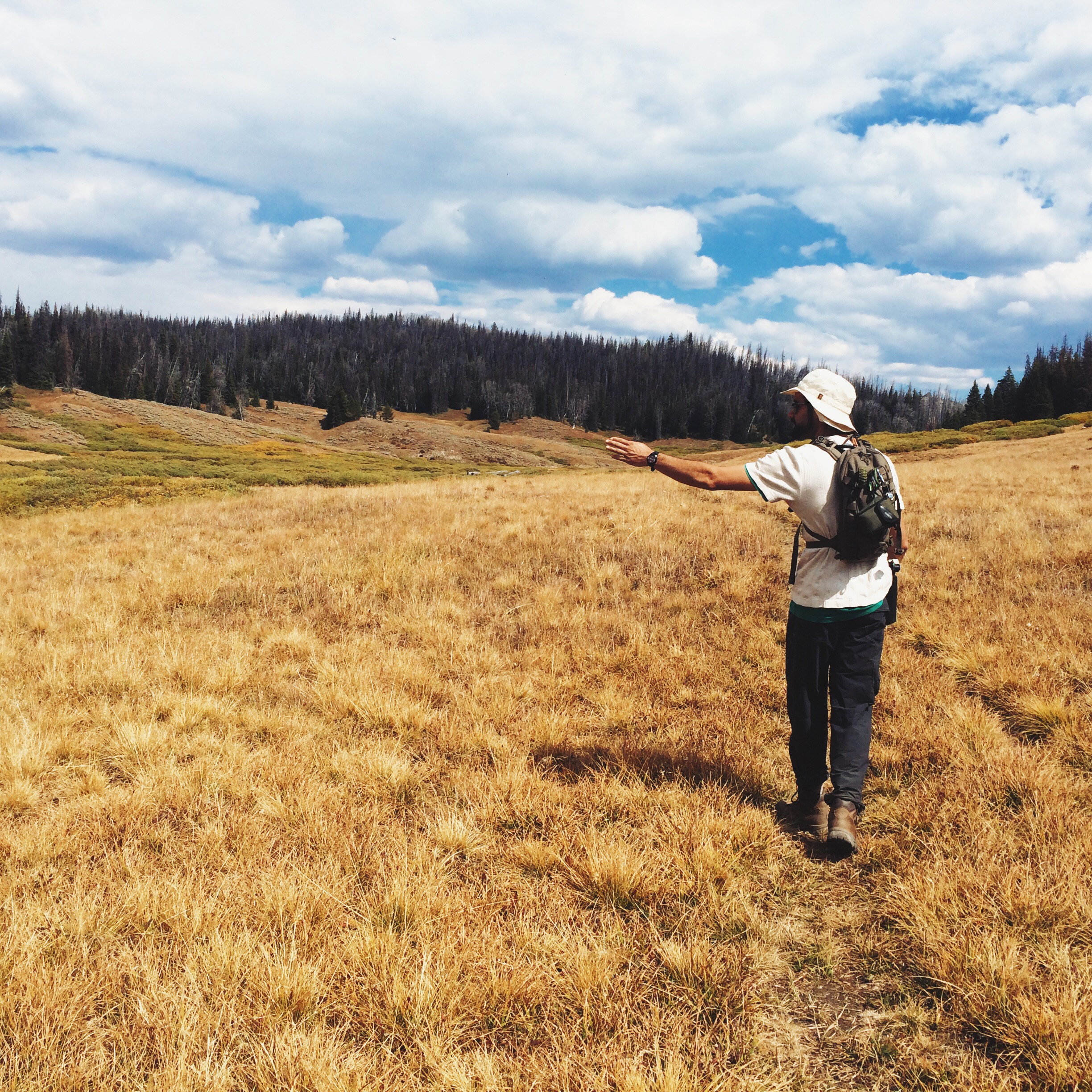 Processed with VSCOcam with lv01 preset