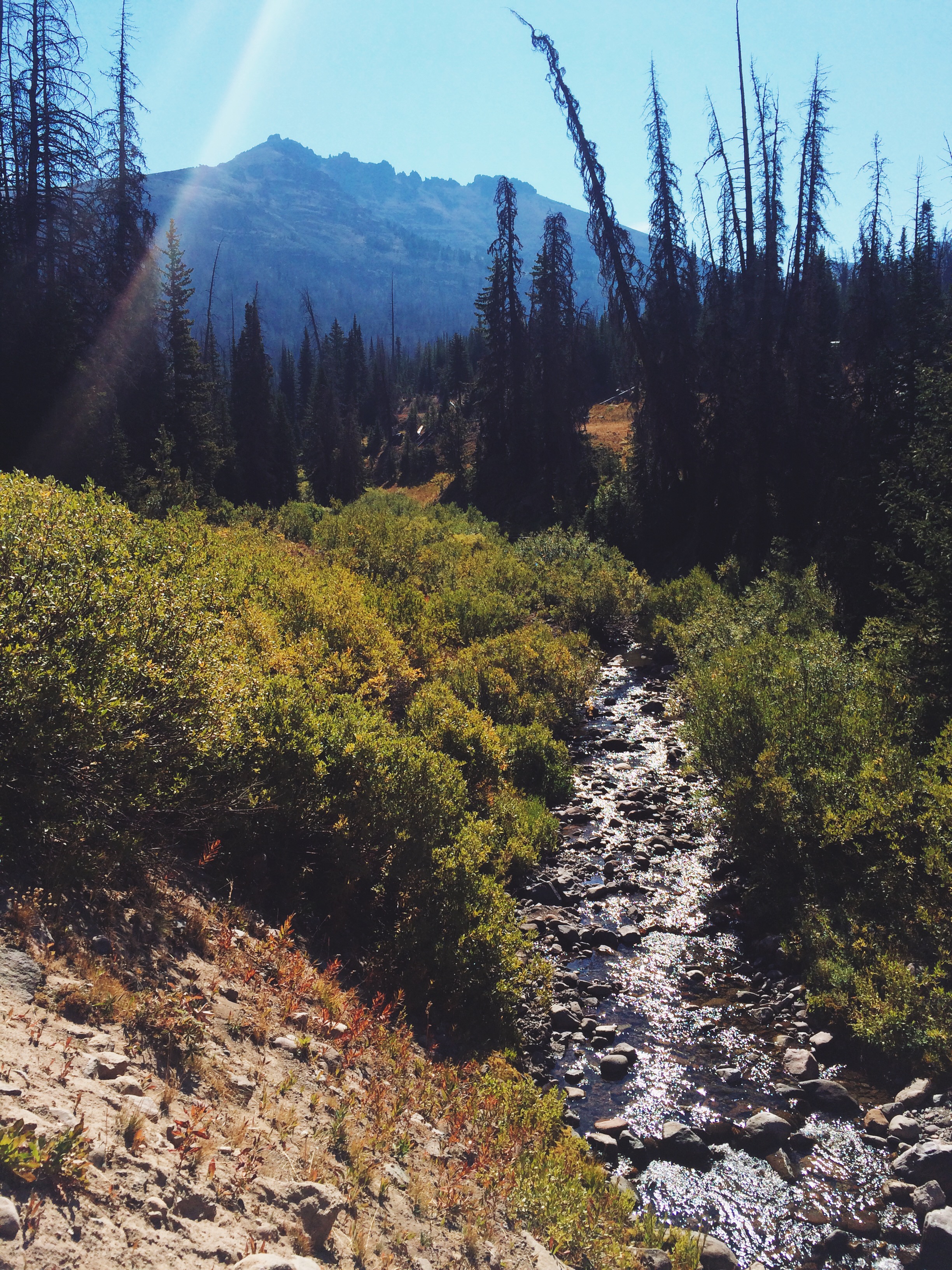 Processed with VSCOcam with lv01 preset