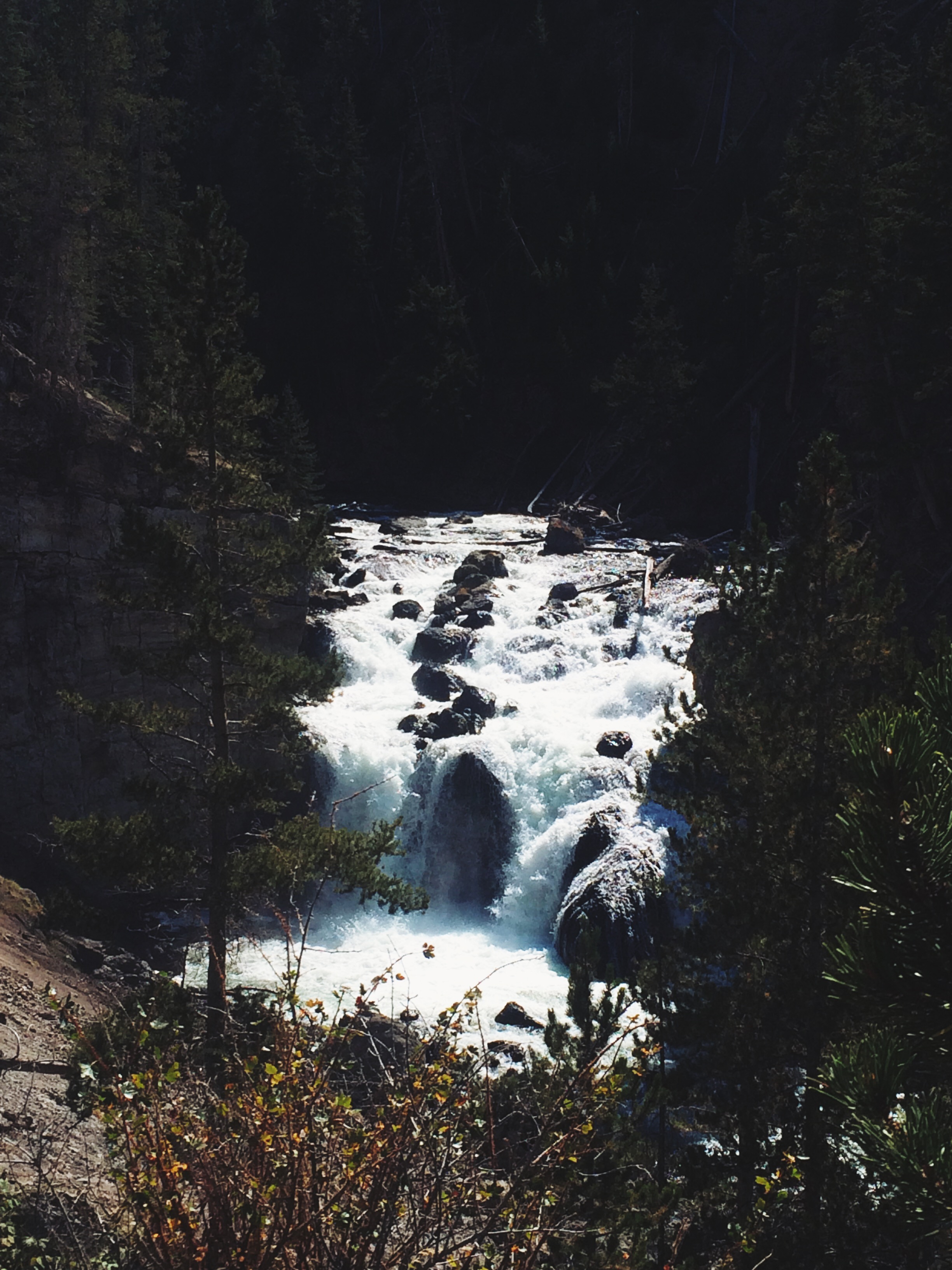 Processed with VSCOcam with lv01 preset