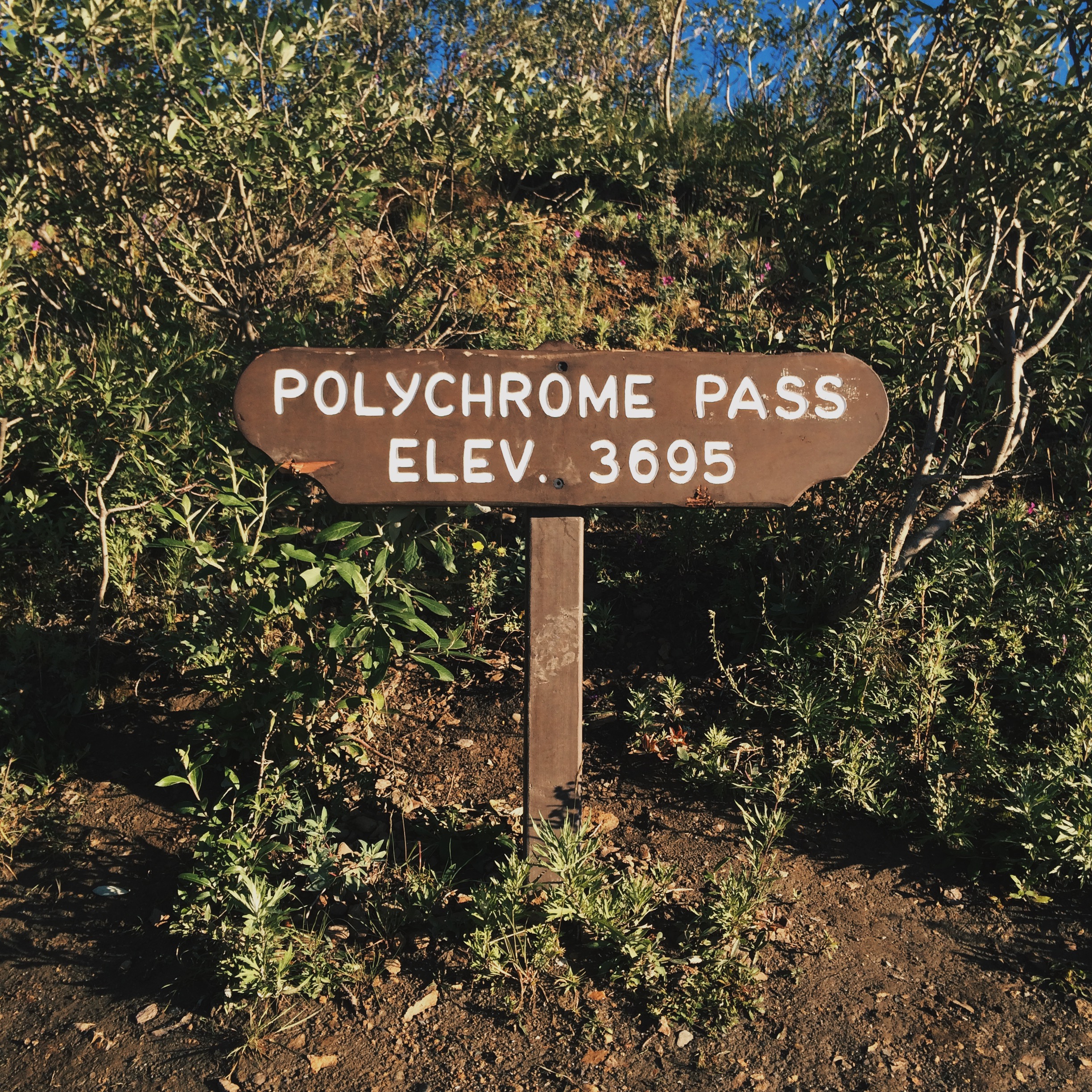 Processed with VSCOcam with hb2 preset