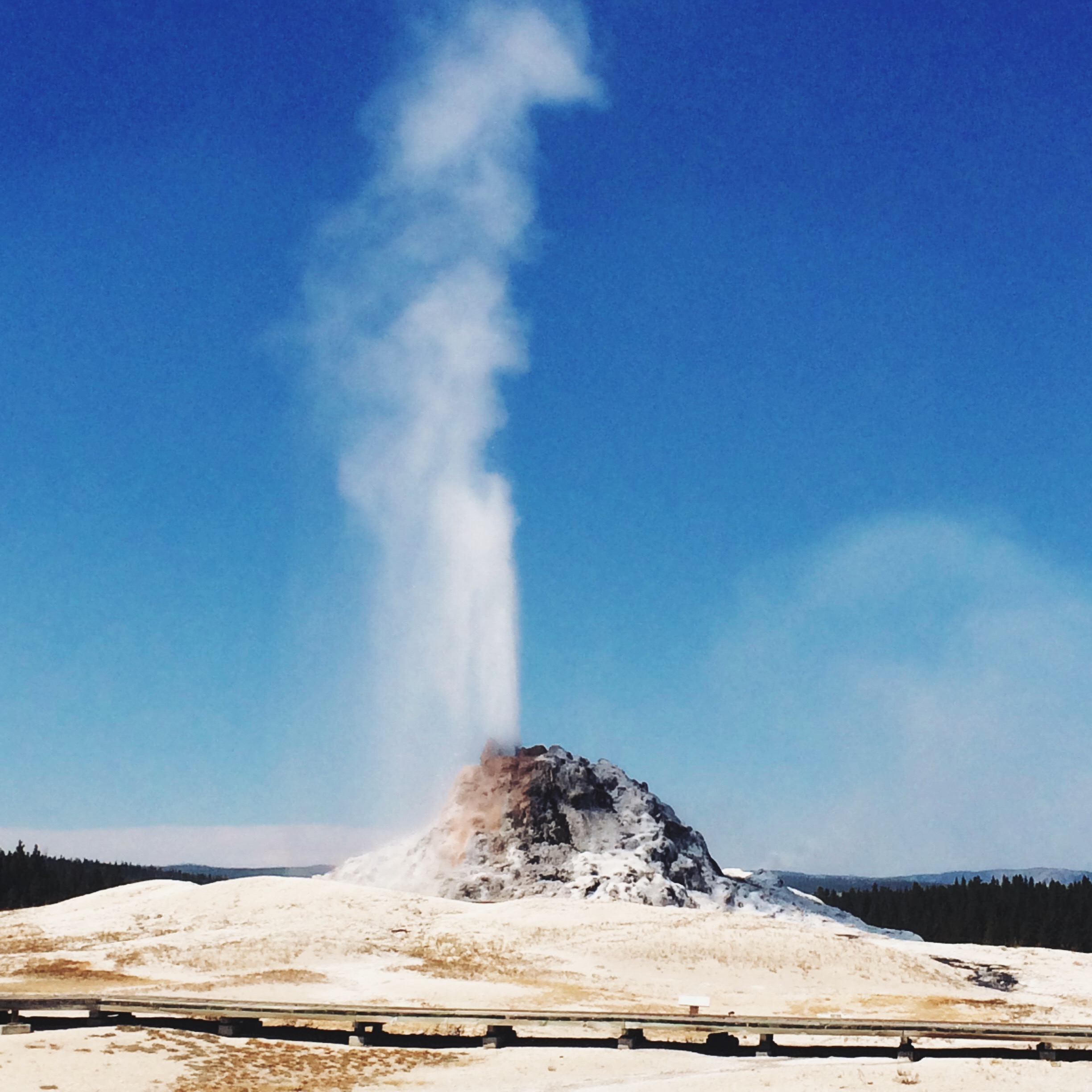 Processed with VSCOcam with lv01 preset