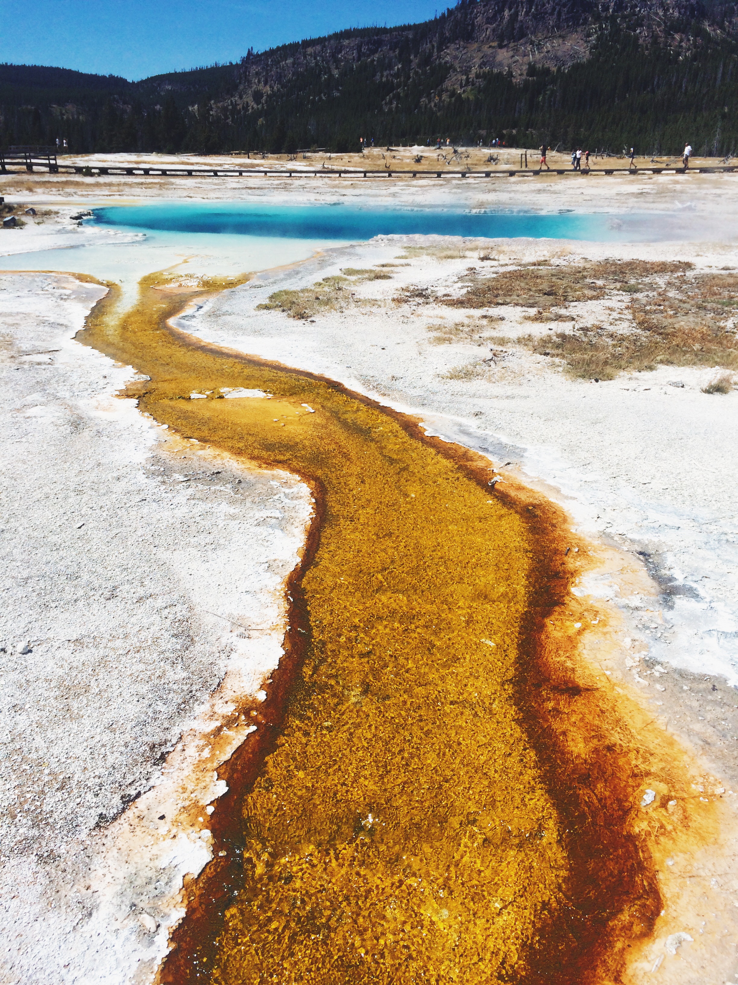 Processed with VSCOcam with lv01 preset