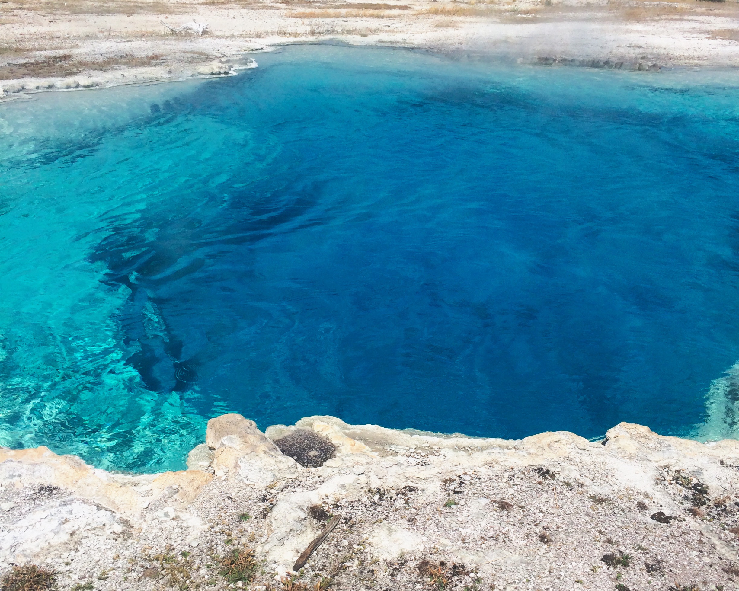 Processed with VSCOcam with wwf preset