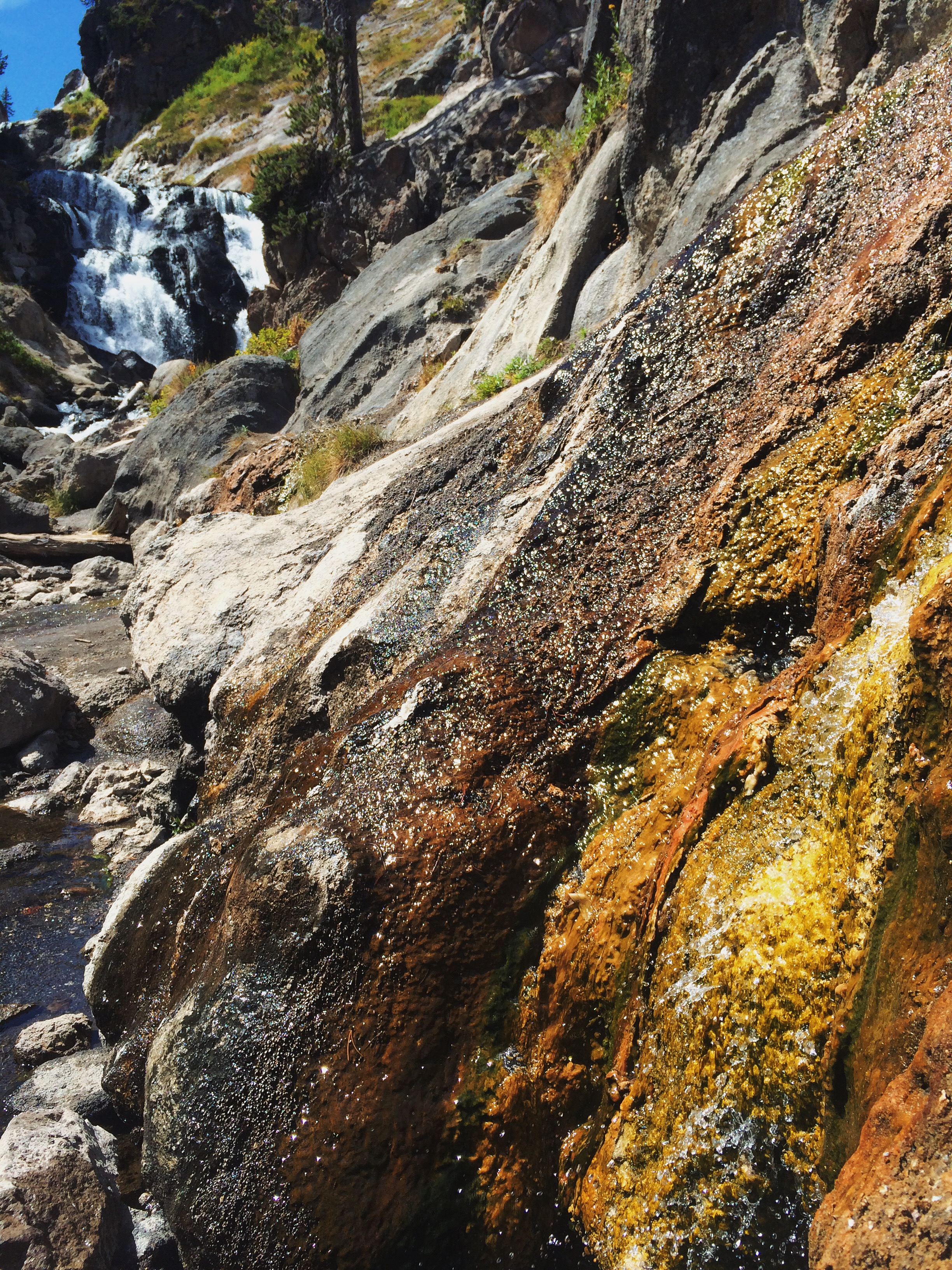 Processed with VSCOcam with lv01 preset