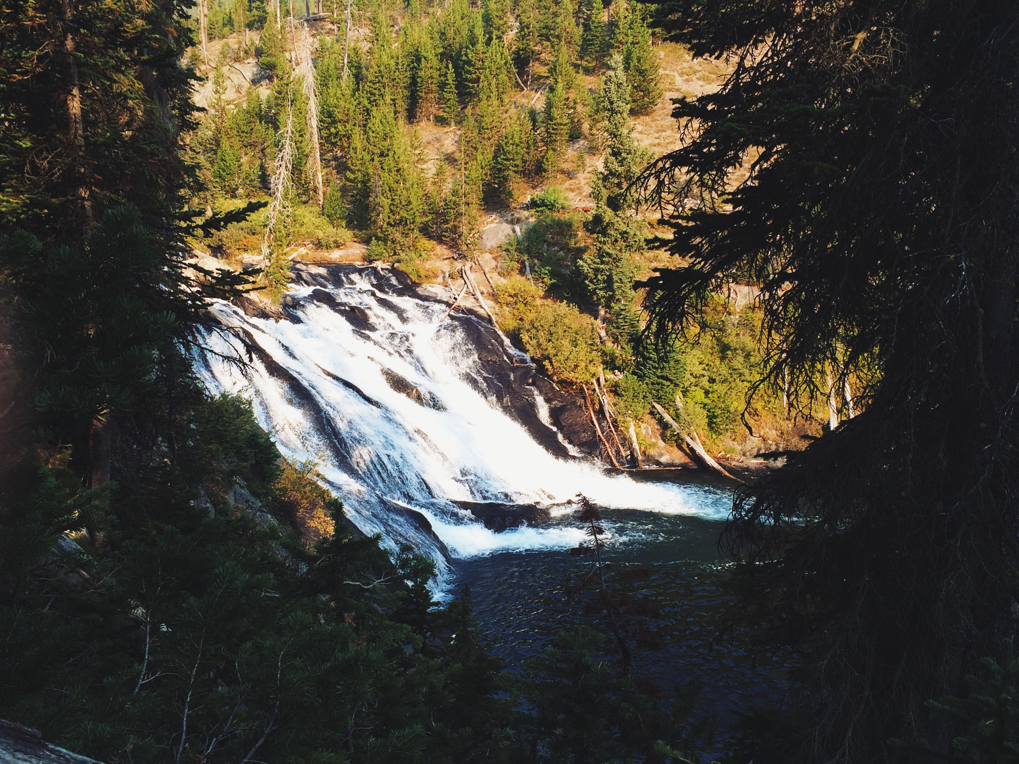 Processed with VSCOcam with lv01 preset