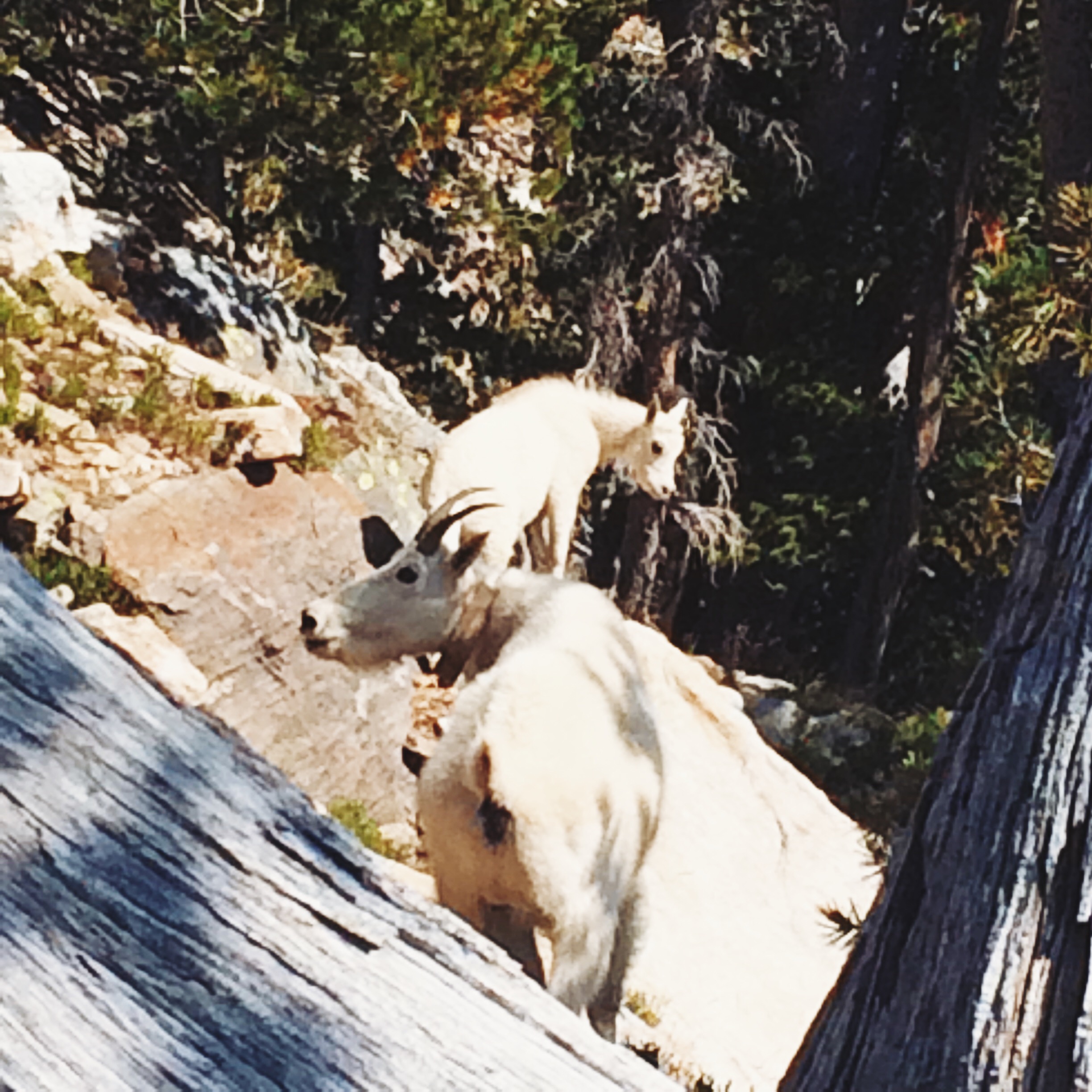 Processed with VSCOcam with lv01 preset