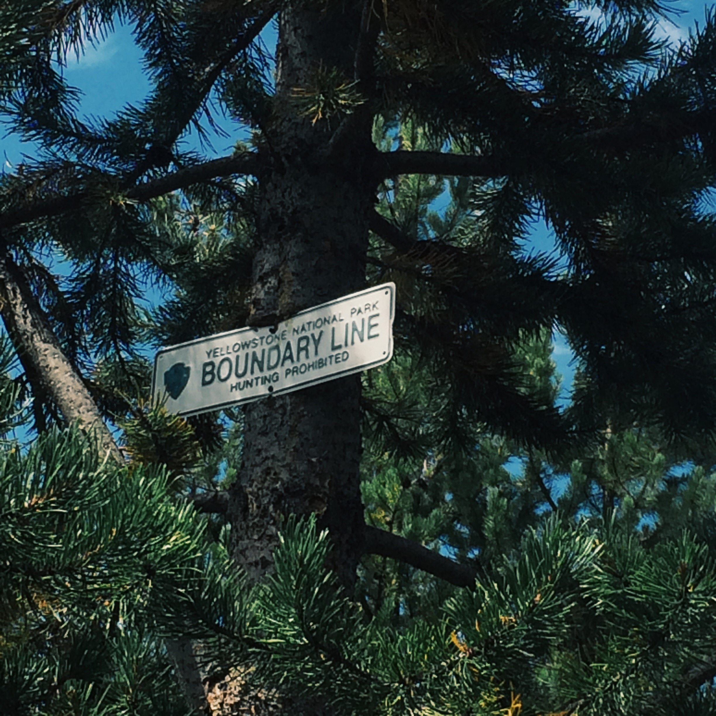 Processed with VSCOcam with g3 preset