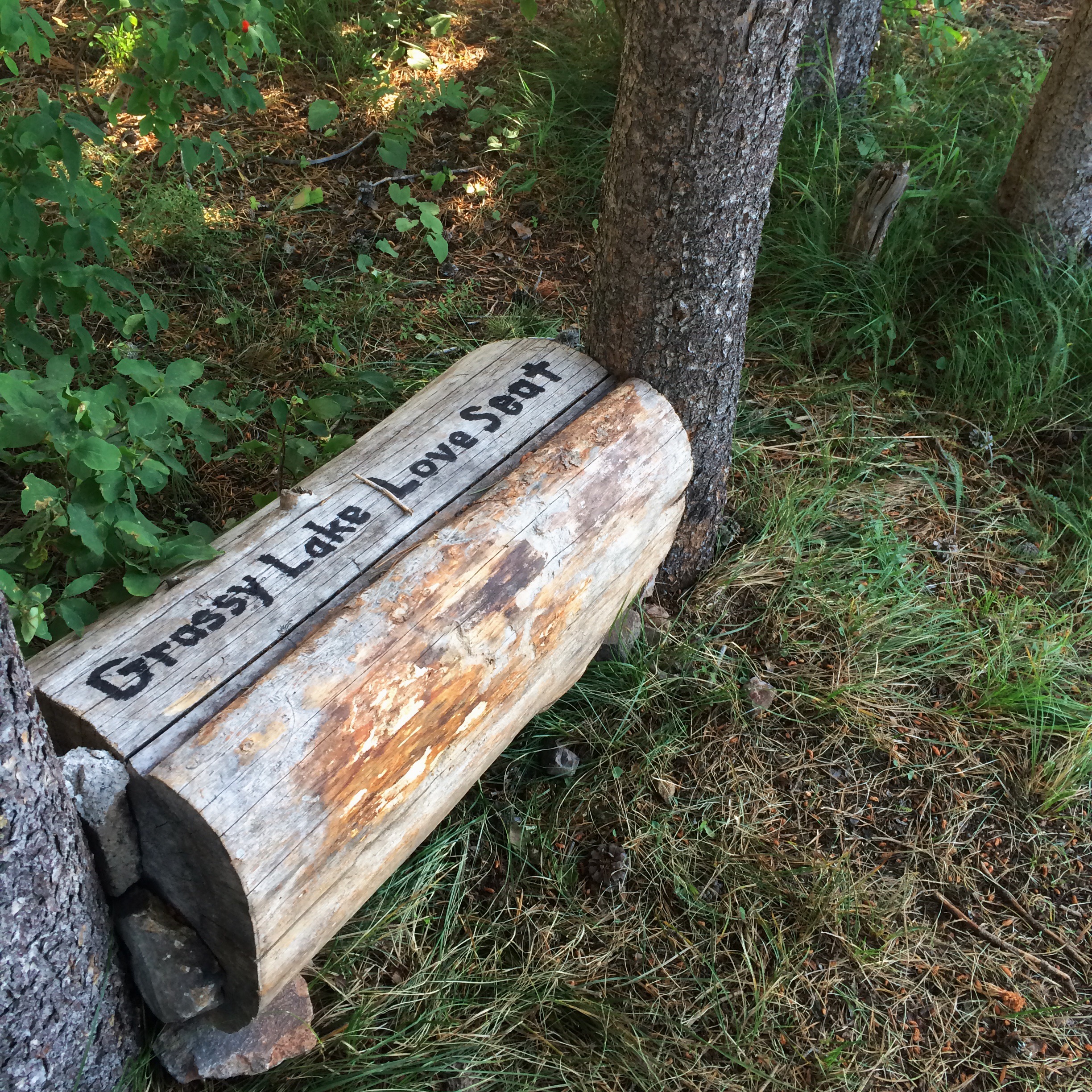 Processed with VSCOcam with wwf preset