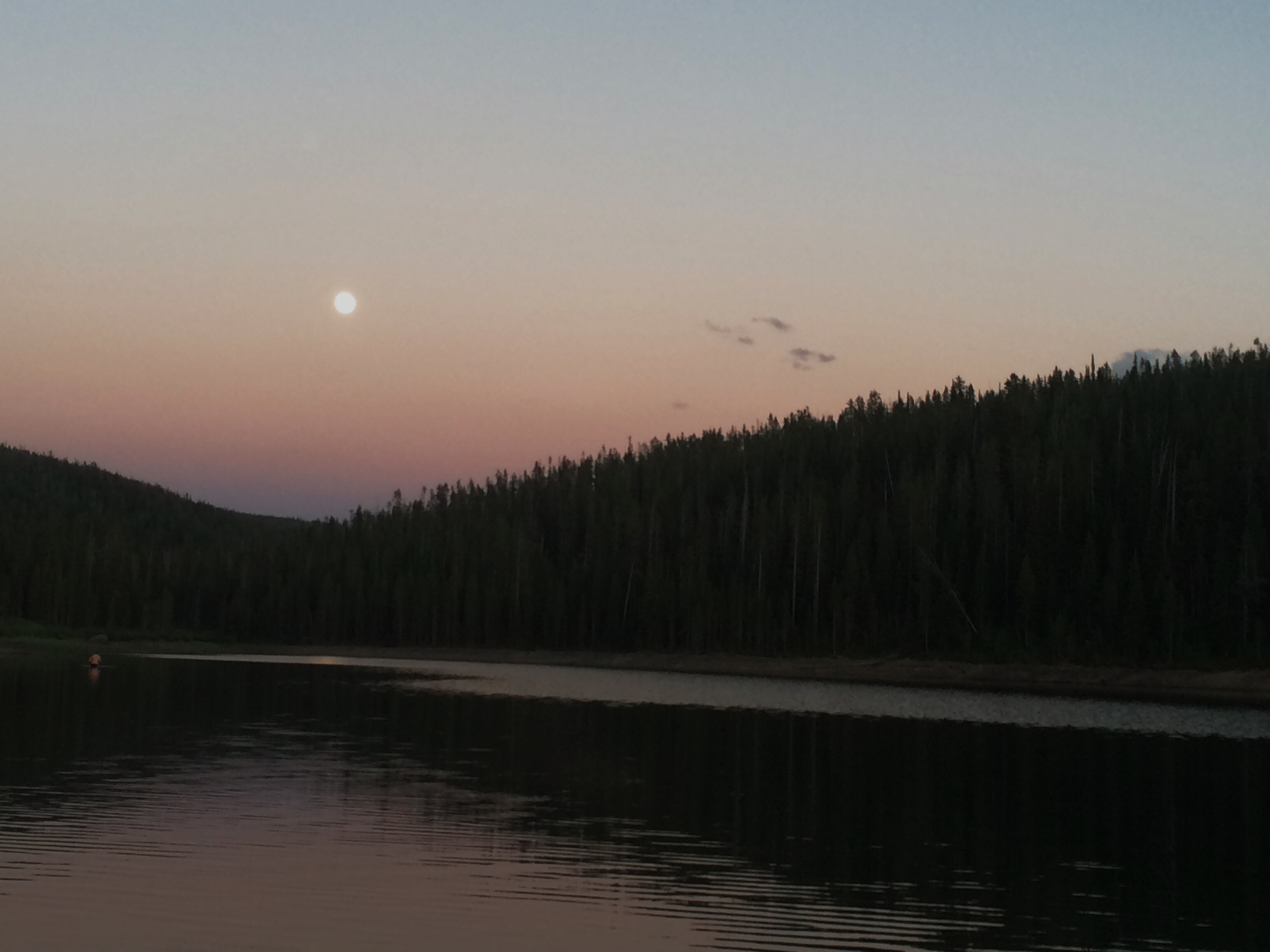 Processed with VSCOcam with wwf preset