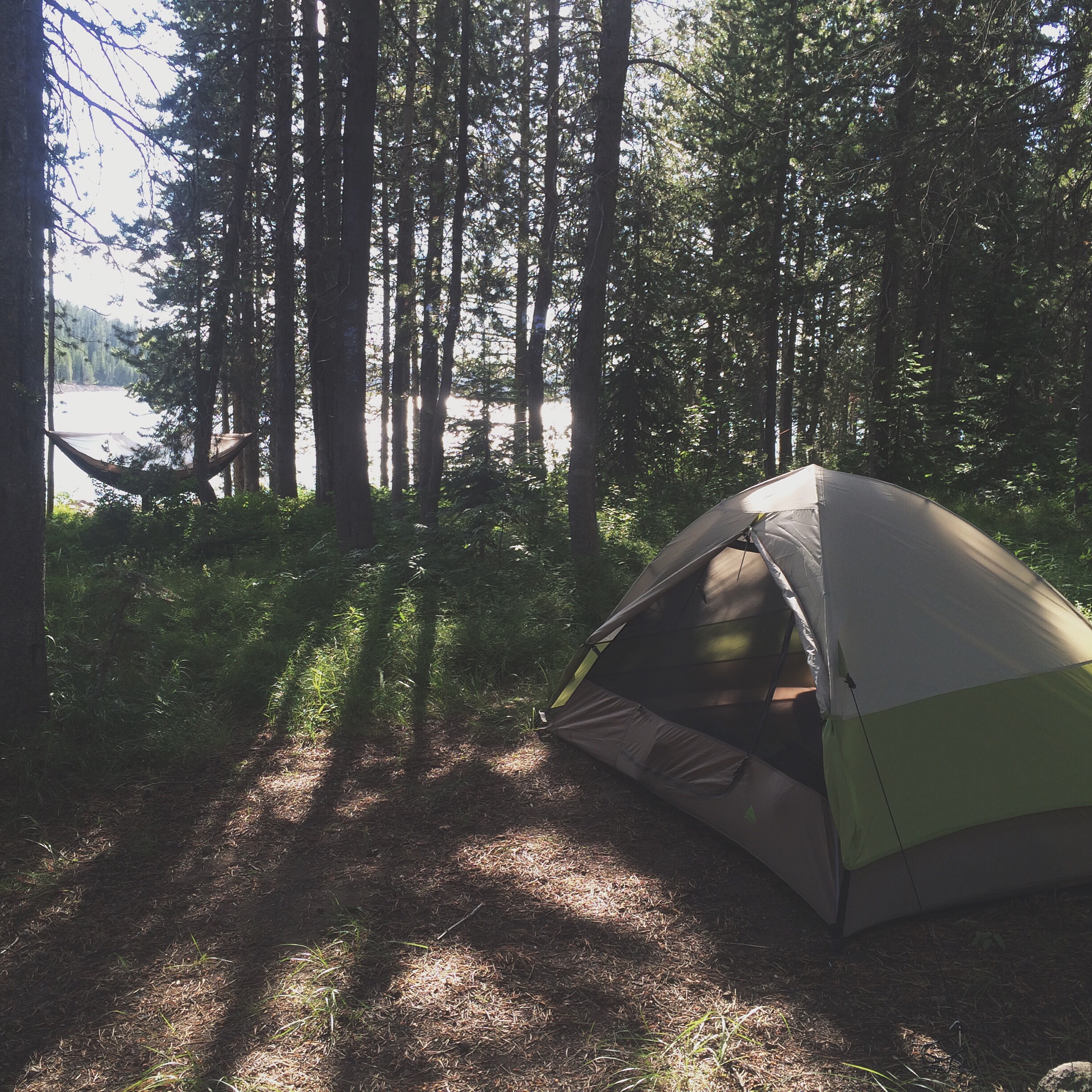 Processed with VSCOcam with t1 preset