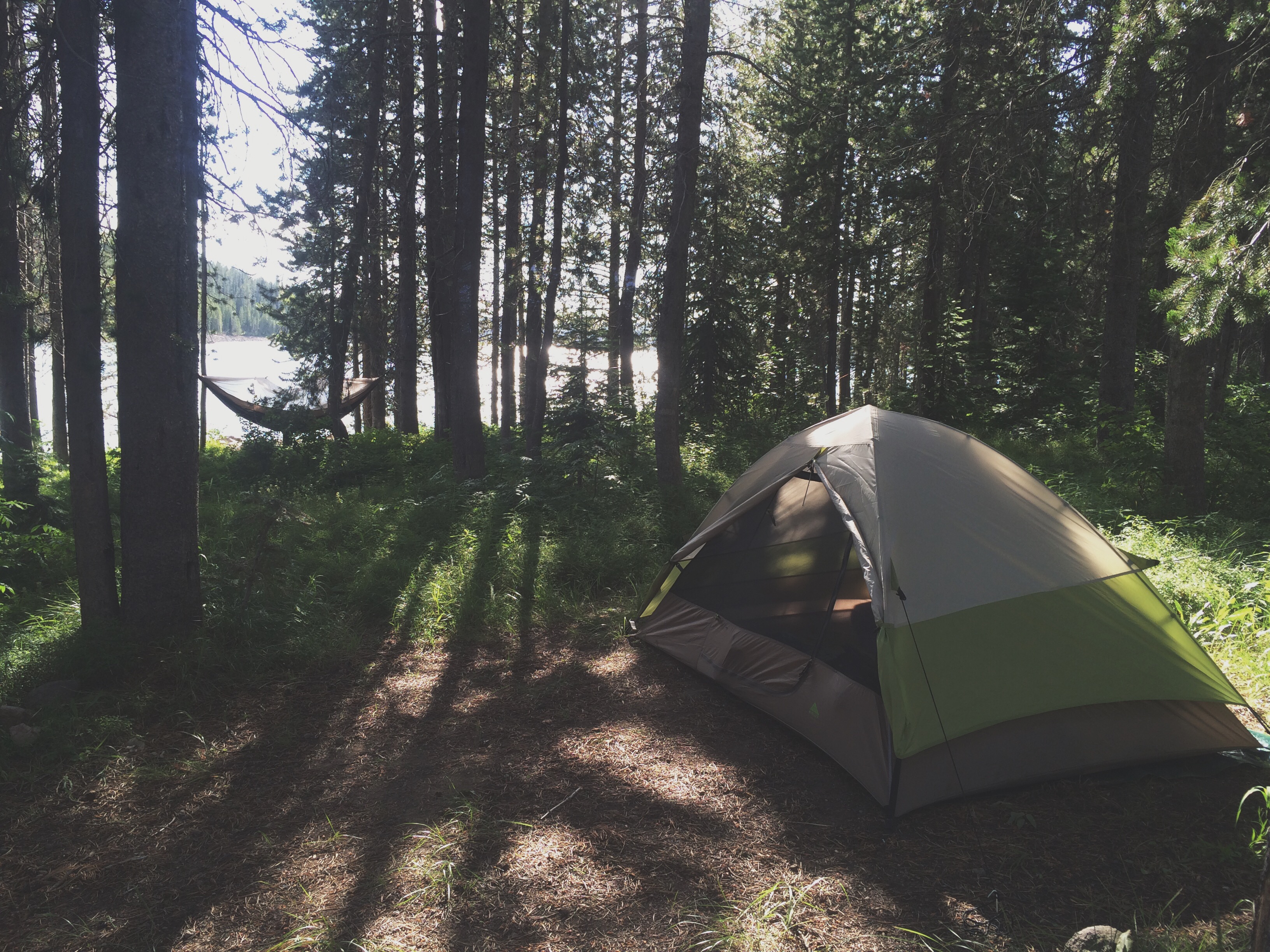 Processed with VSCOcam with t1 preset