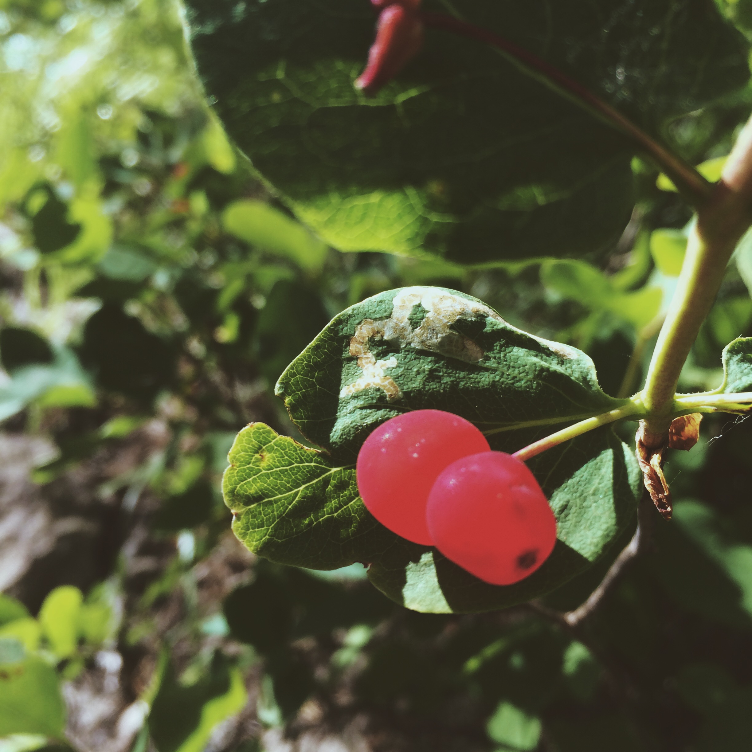 Processed with VSCOcam with m3 preset