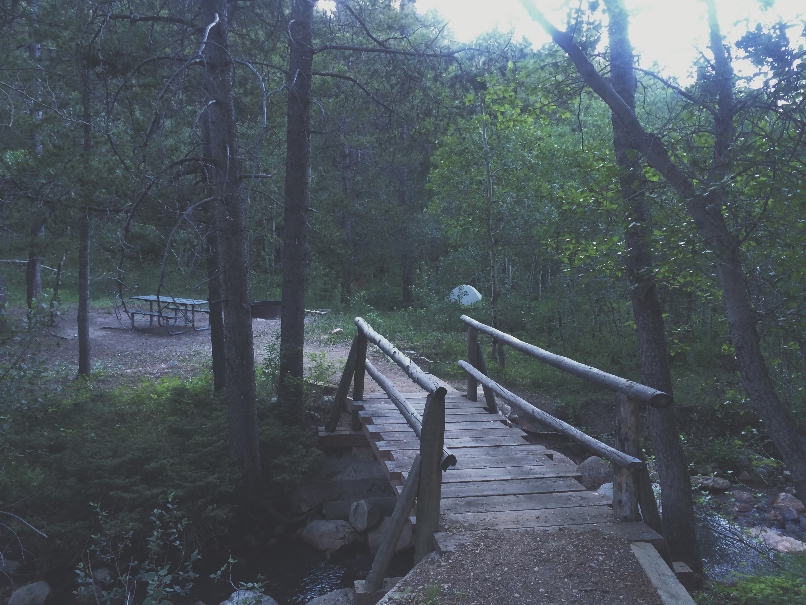 Processed with VSCOcam with t1 preset