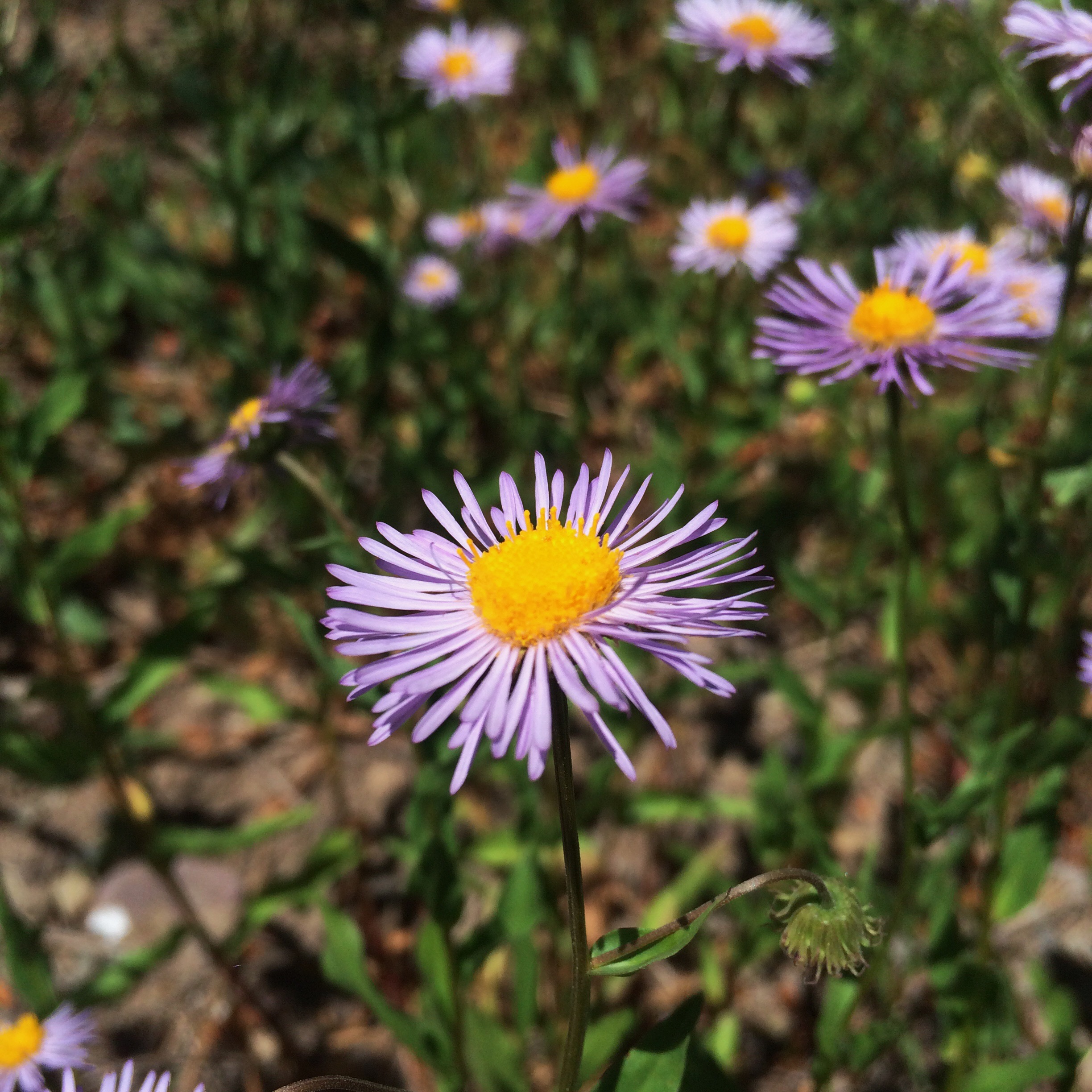 Processed with VSCOcam with wwf preset