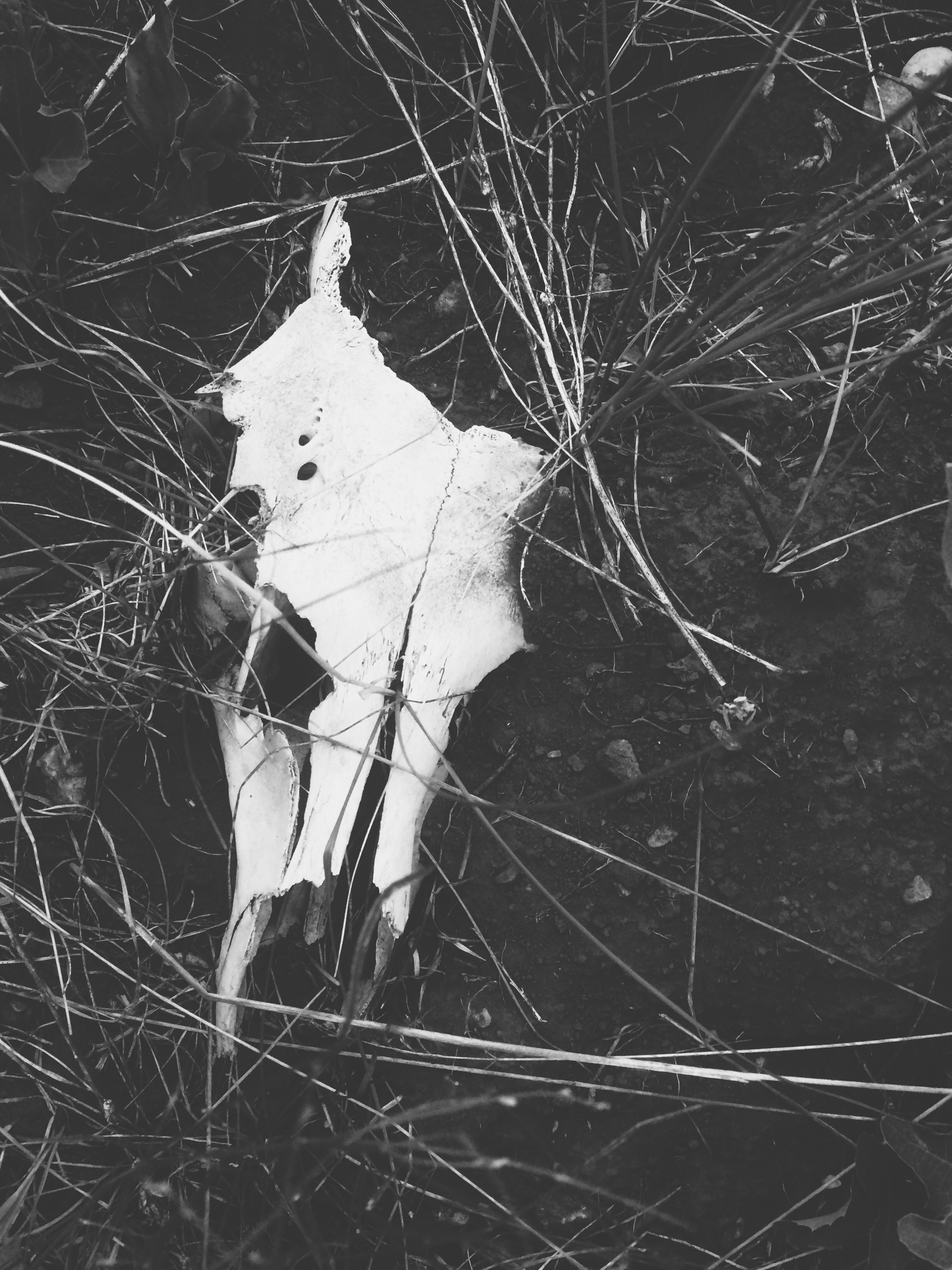 Processed with VSCOcam with x1 preset