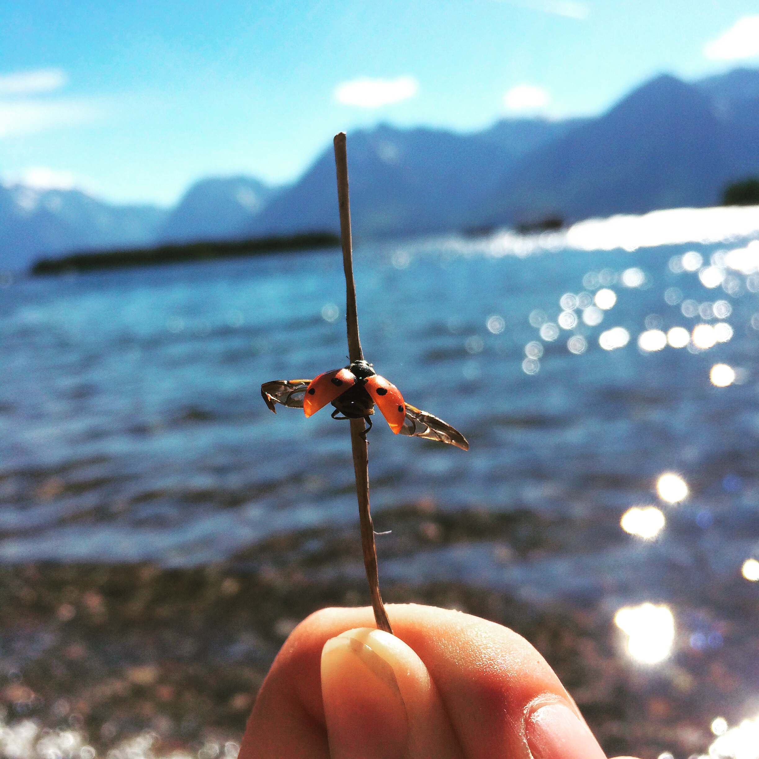 Processed with VSCOcam with wwf preset