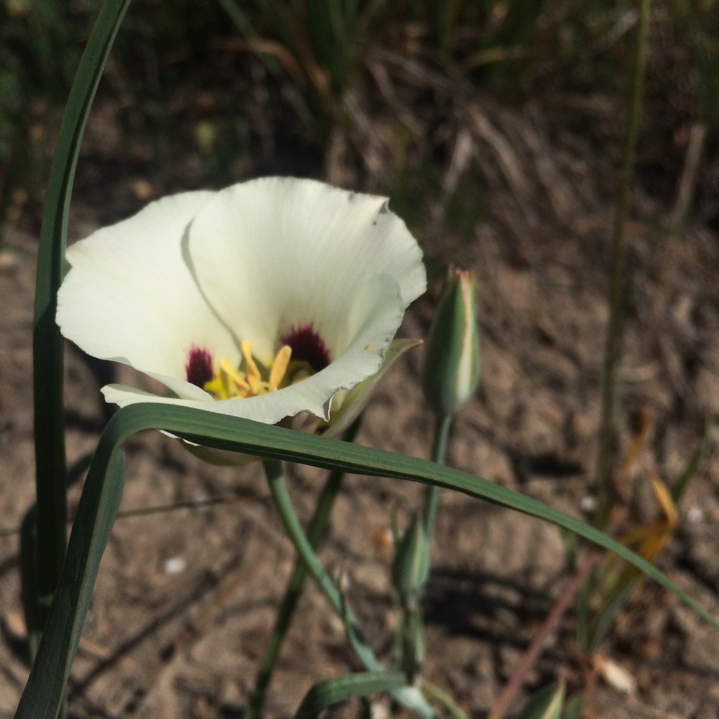 Processed with VSCOcam with wwf preset