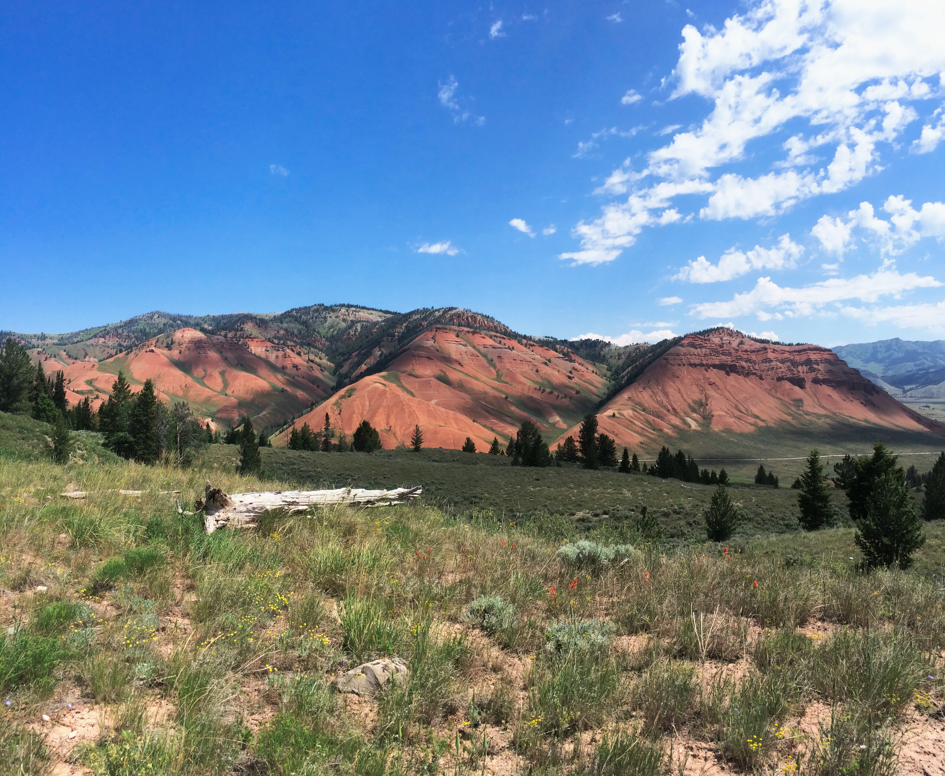 Processed with VSCOcam with wwf preset