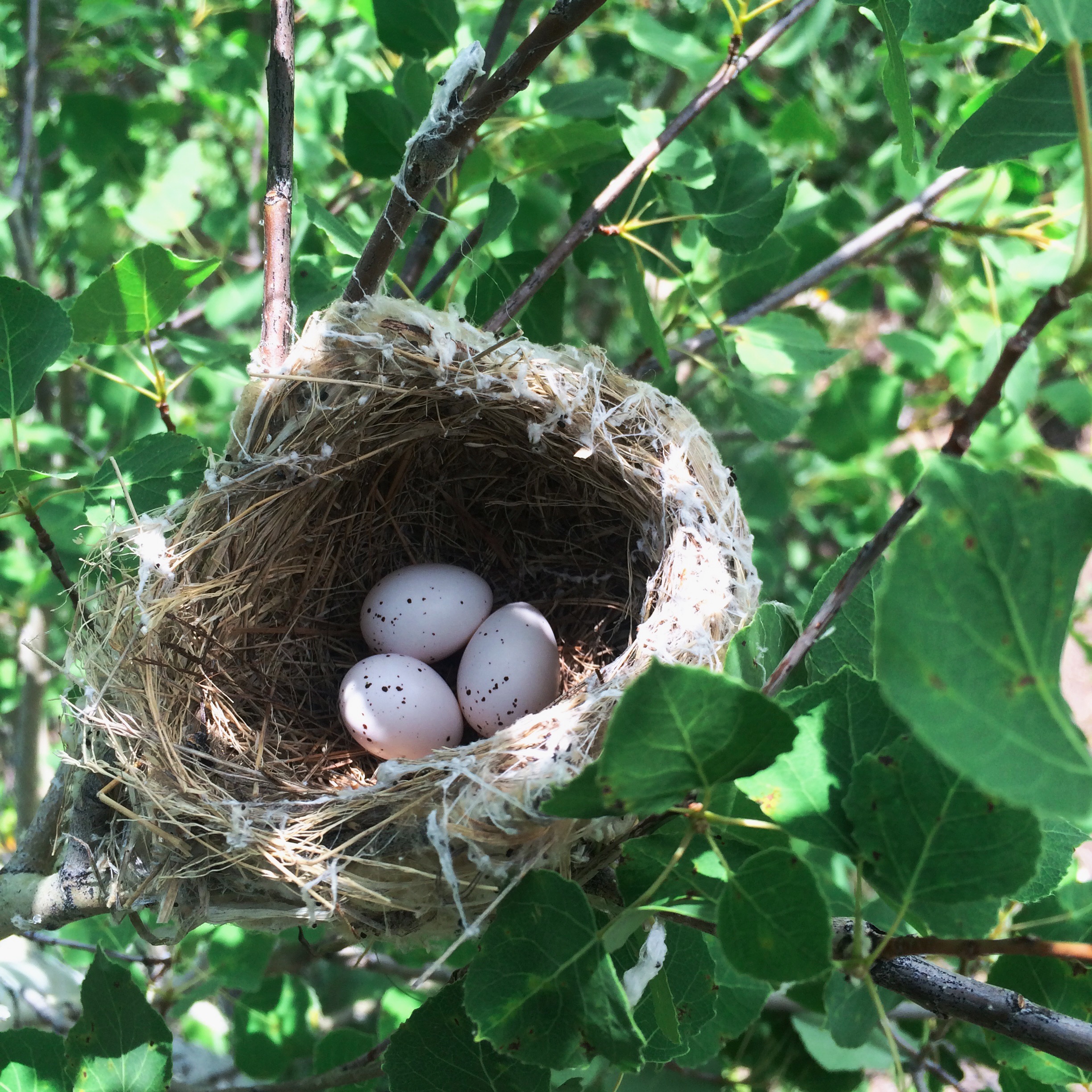 Processed with VSCOcam with wwf preset