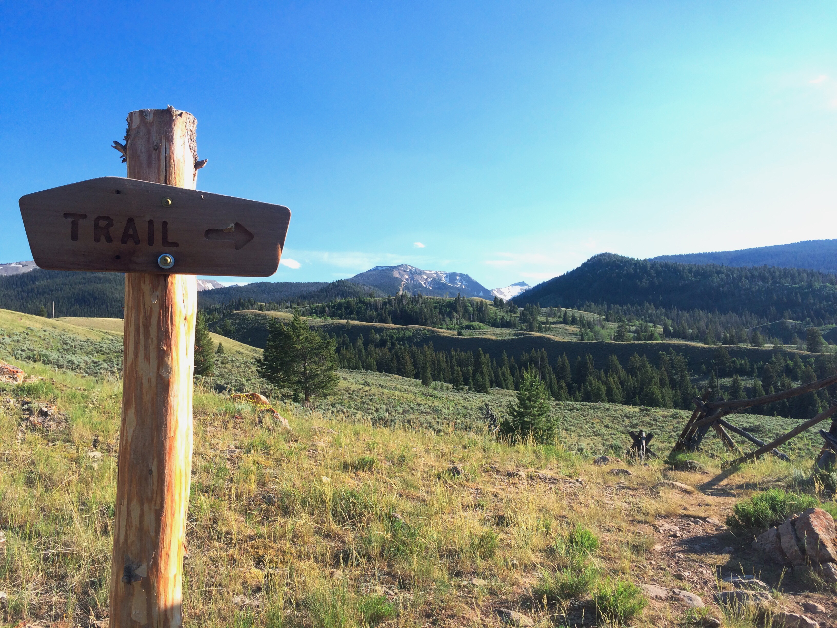 Processed with VSCOcam with wwf preset