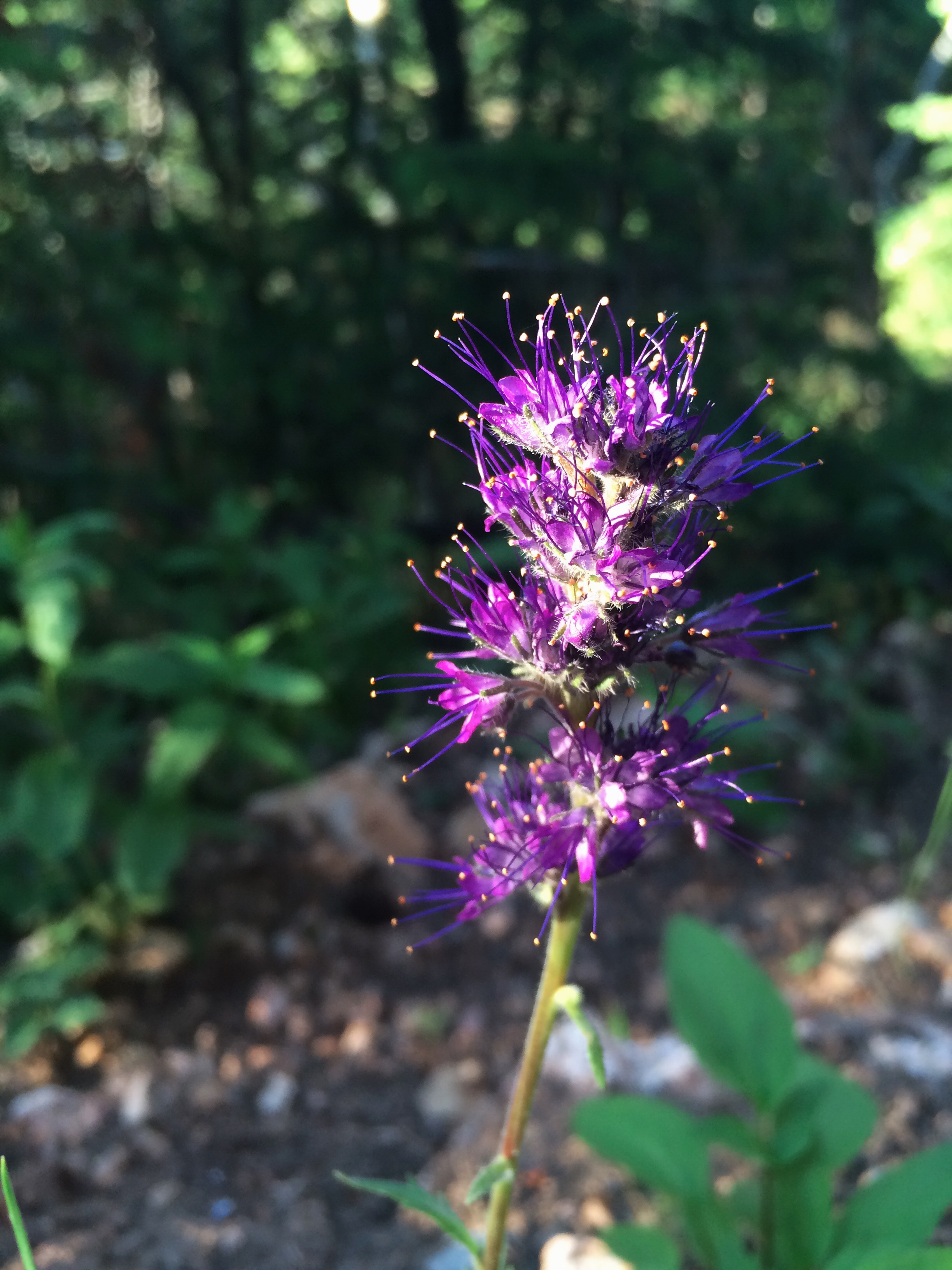 Processed with VSCOcam with wwf preset